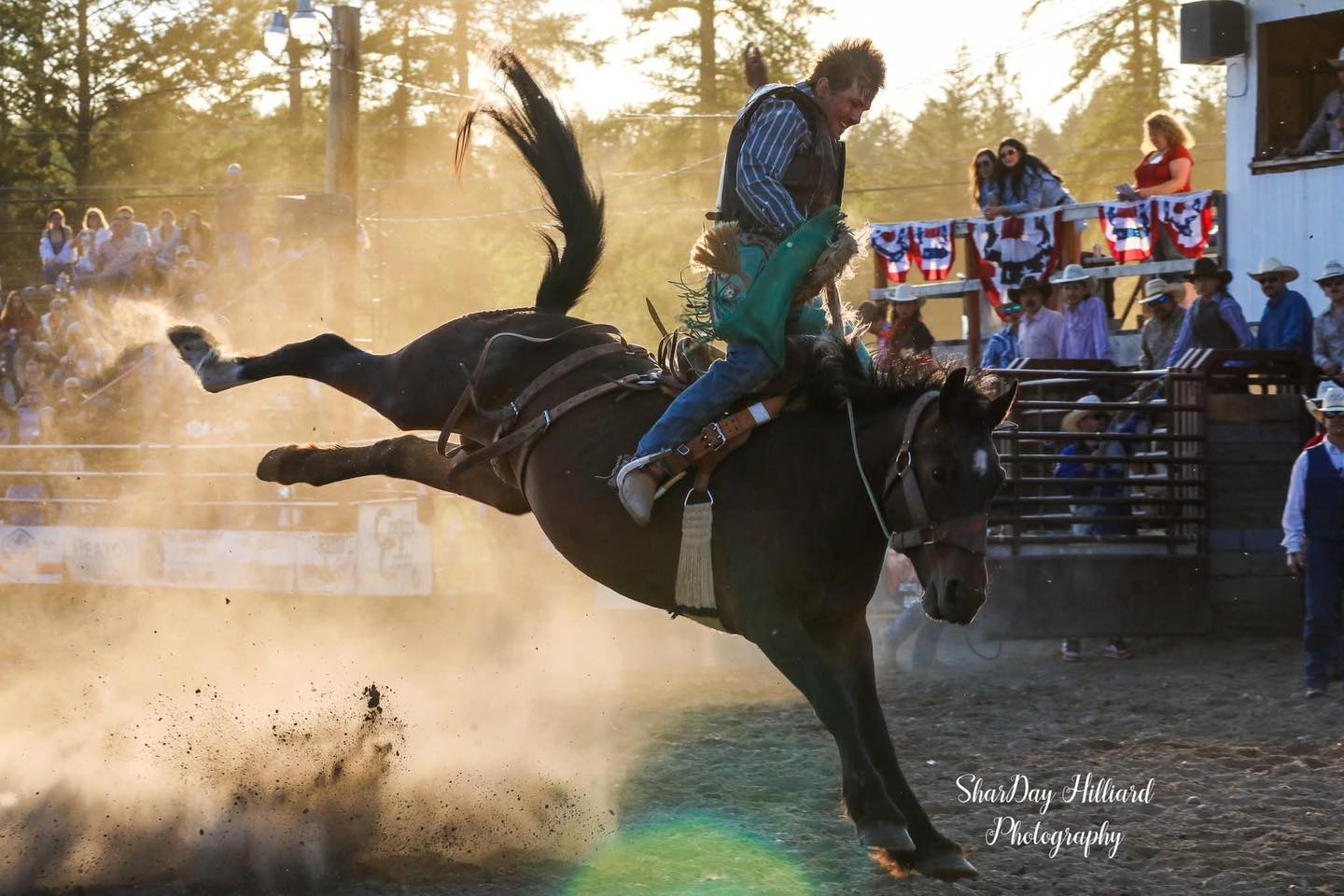 Brash Rodeo | Columbia Falls MT