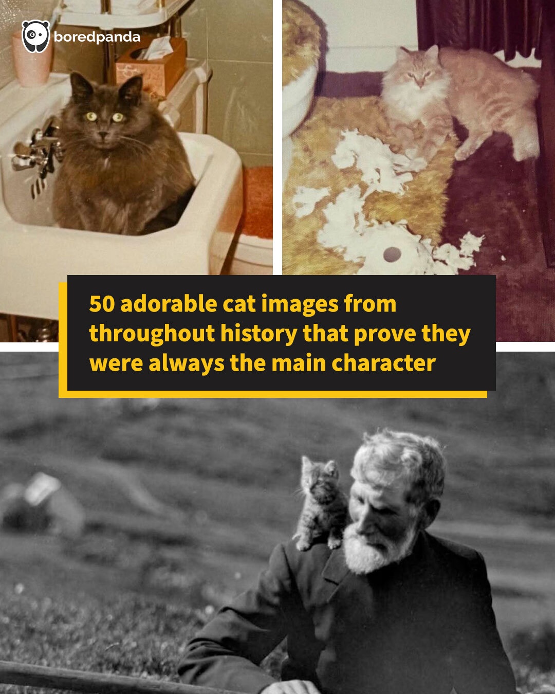 Bored - 50 adorable cat images from throughout history that prove they ...