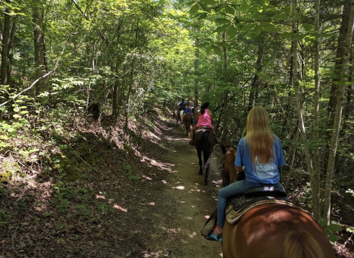 Cumberland Falls Horse Stables | Corbin KY