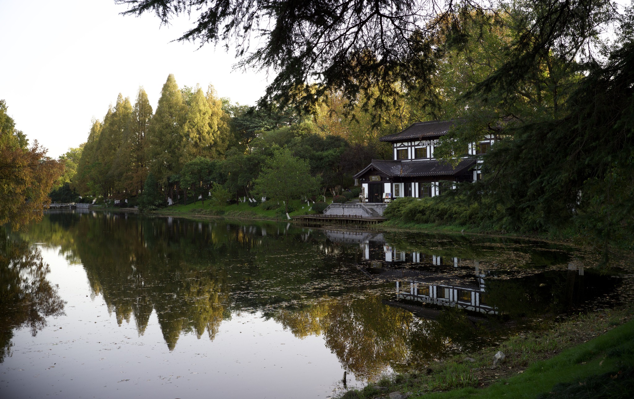 Schneider-Kreuznach APO-Componon 45mm F4.0 “Mマウント改” 作例 