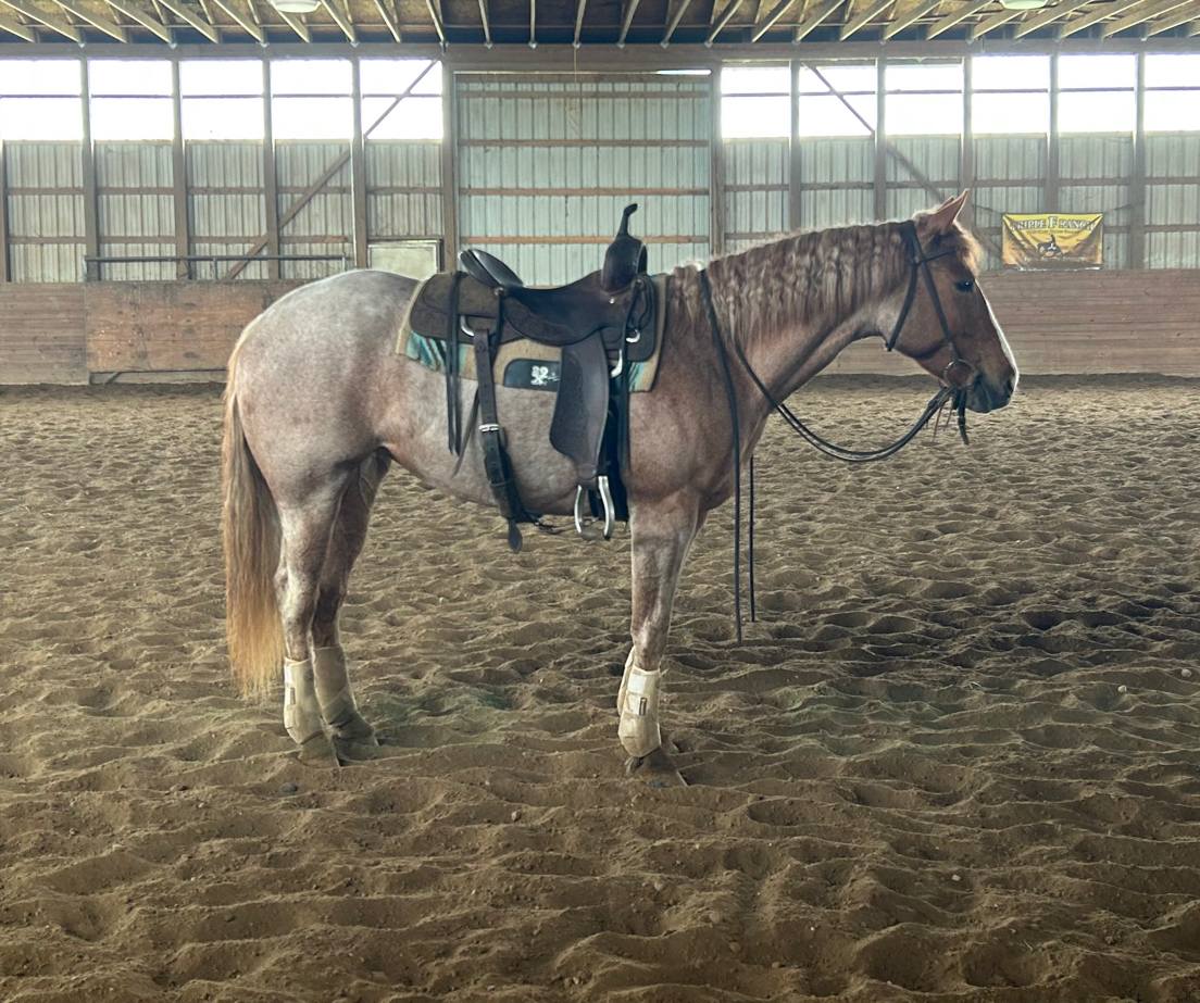Triple F Ranch | Alto MI