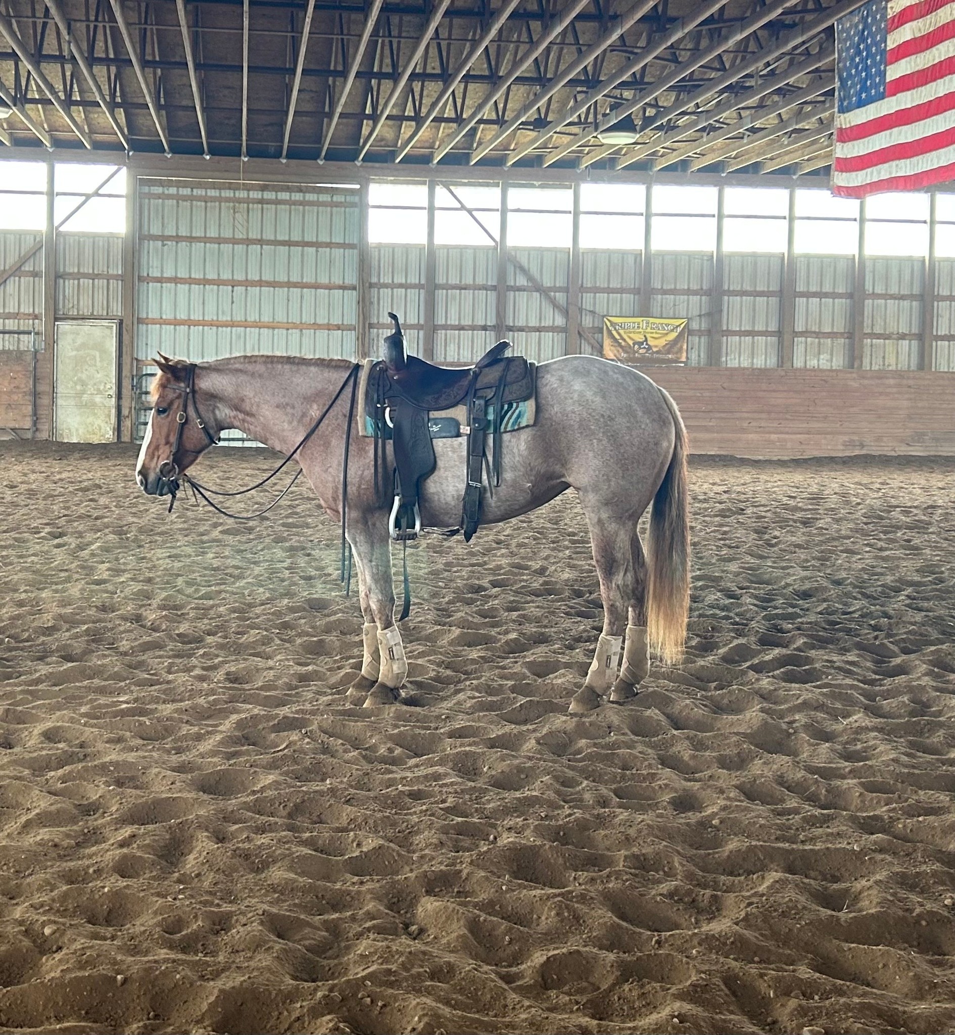 Triple F Ranch | Alto MI