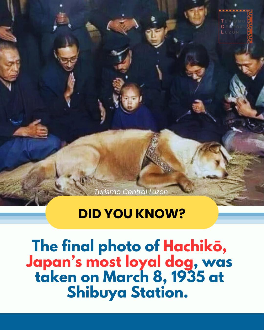 額装「忠犬」Dogs are very loyal A story that still breaks hearts