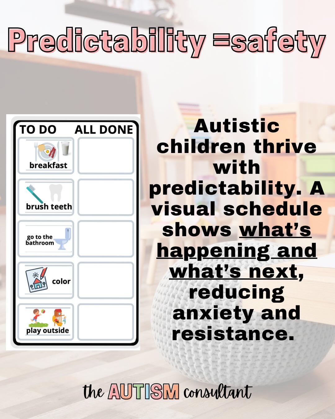 The Autism Consultant