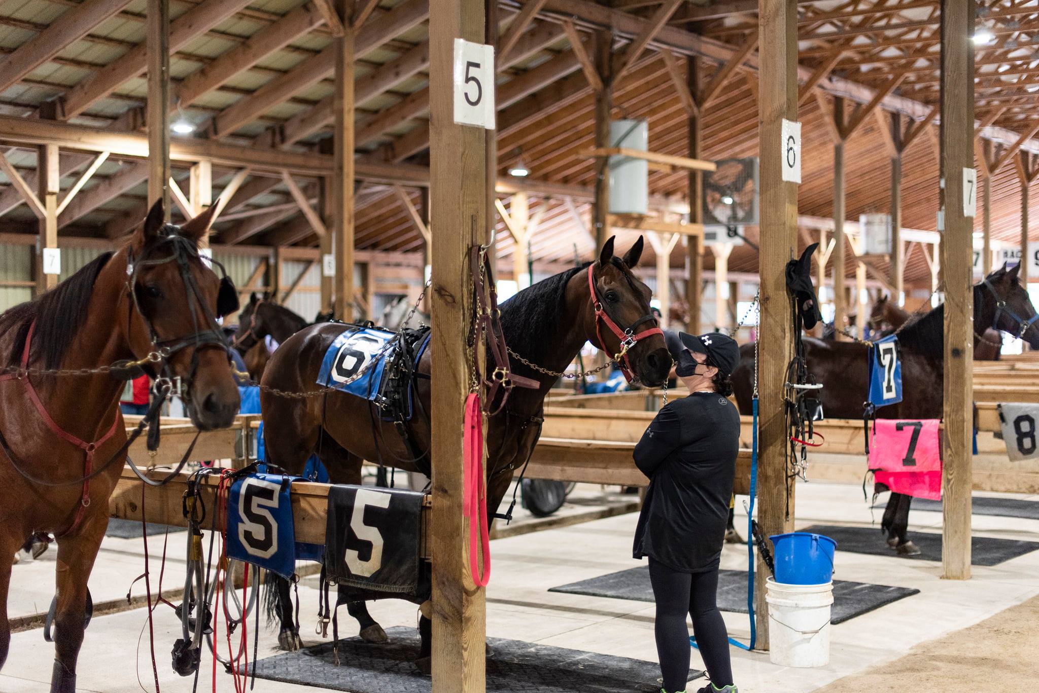 Hanover Raceway - It's contest time! Caption this photo... | Facebook