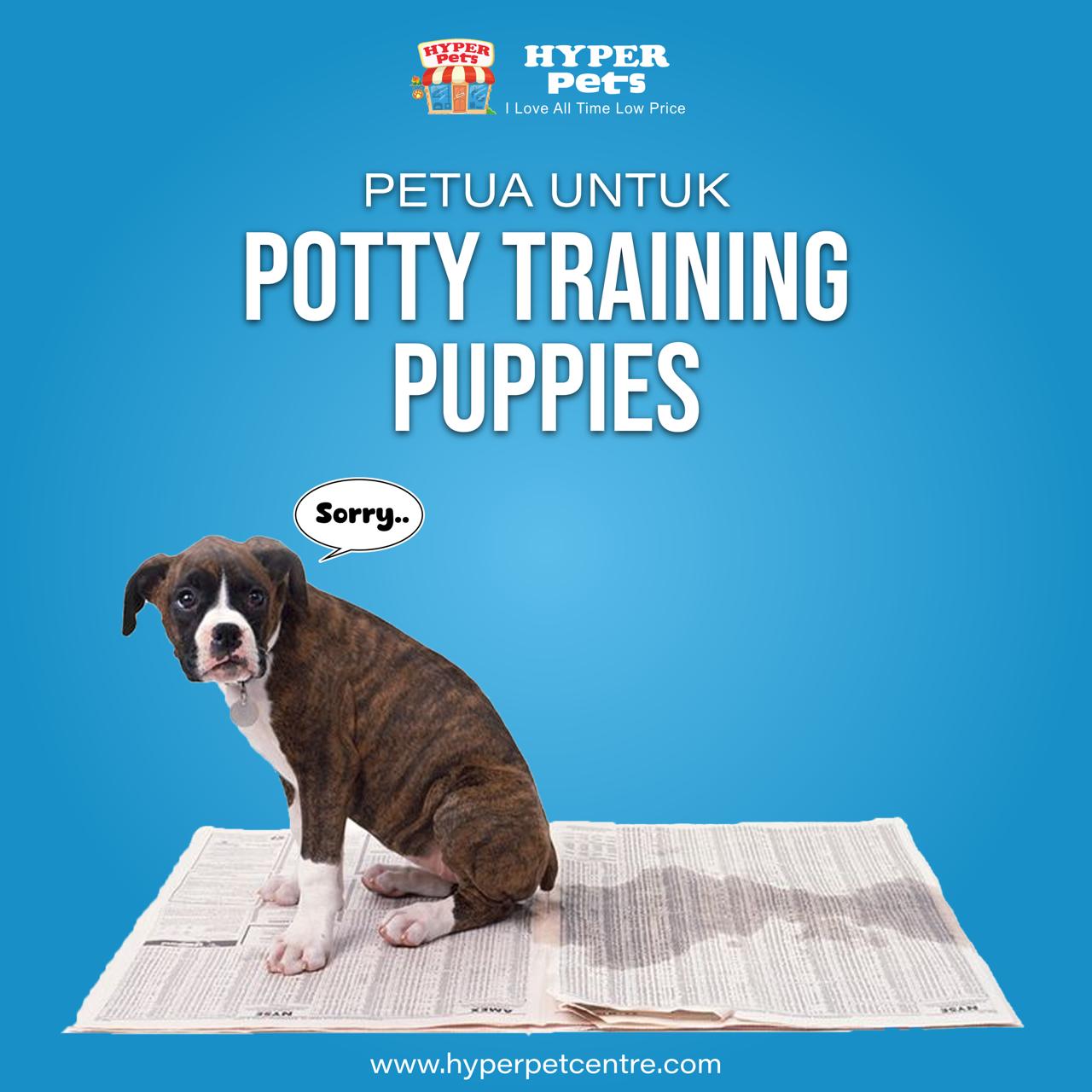 🐶 Potty Training Anak Anjing, Tak... - HyperPets Centre | Facebook
