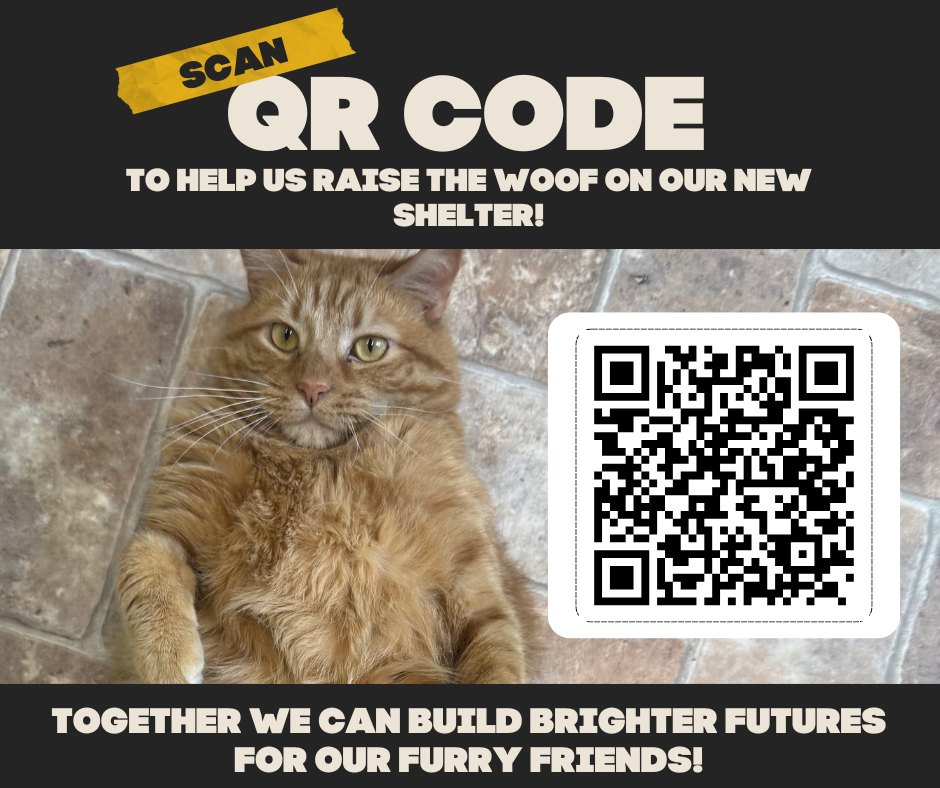 🐾 Earl wants you to know… it’s... - Central PA Humane Society | Facebook