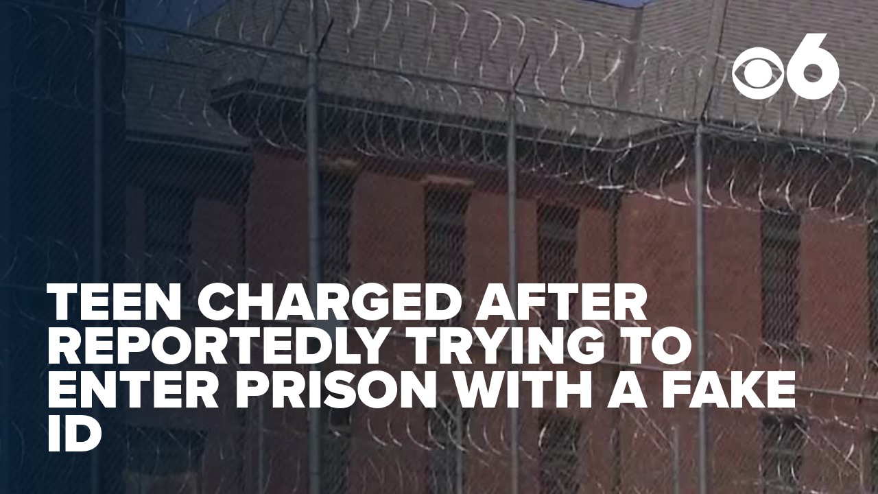 WRGB - A woman was arrested Saturday after police said she gave a fake ...