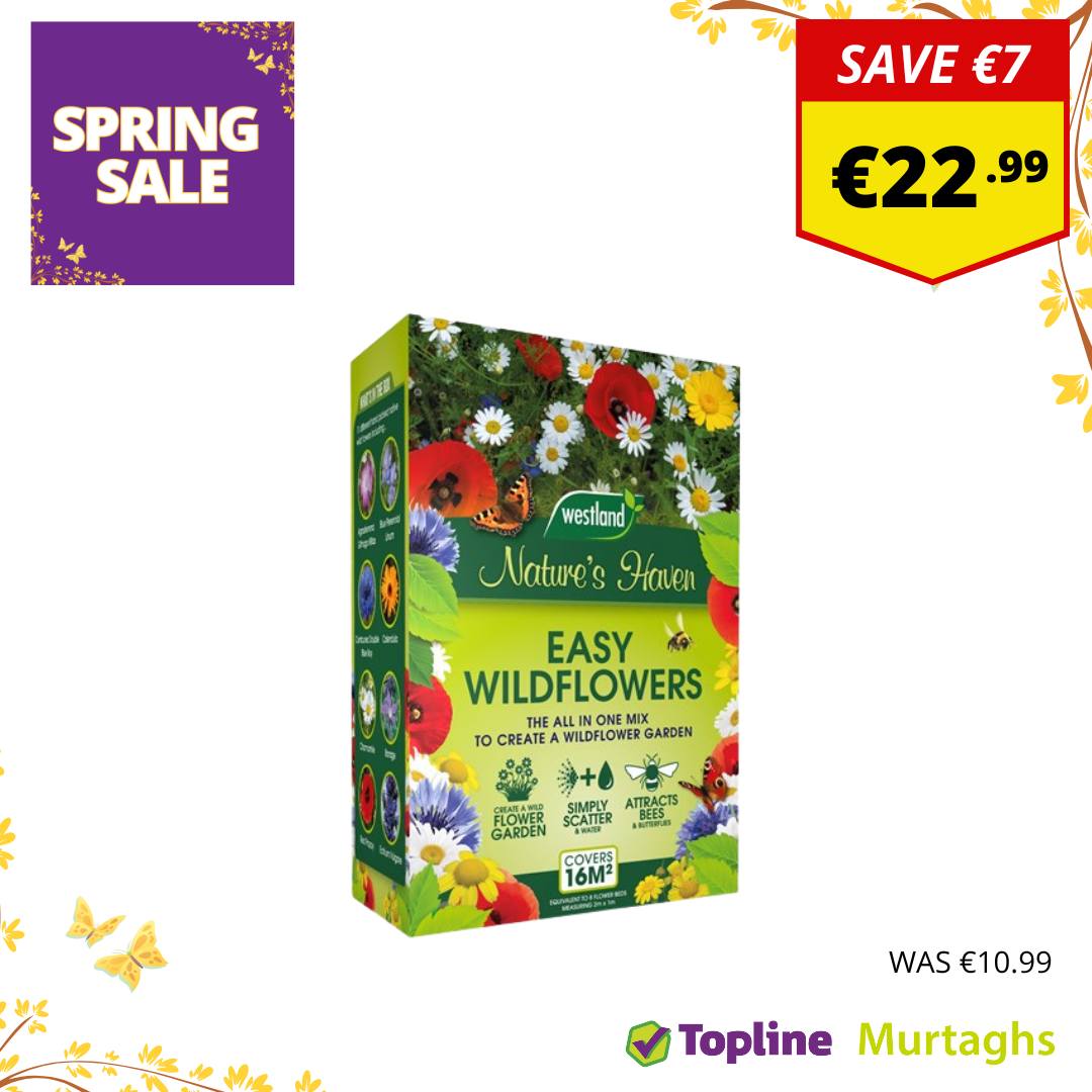 Topline Murtaghs Ashbourne | Ashbourne