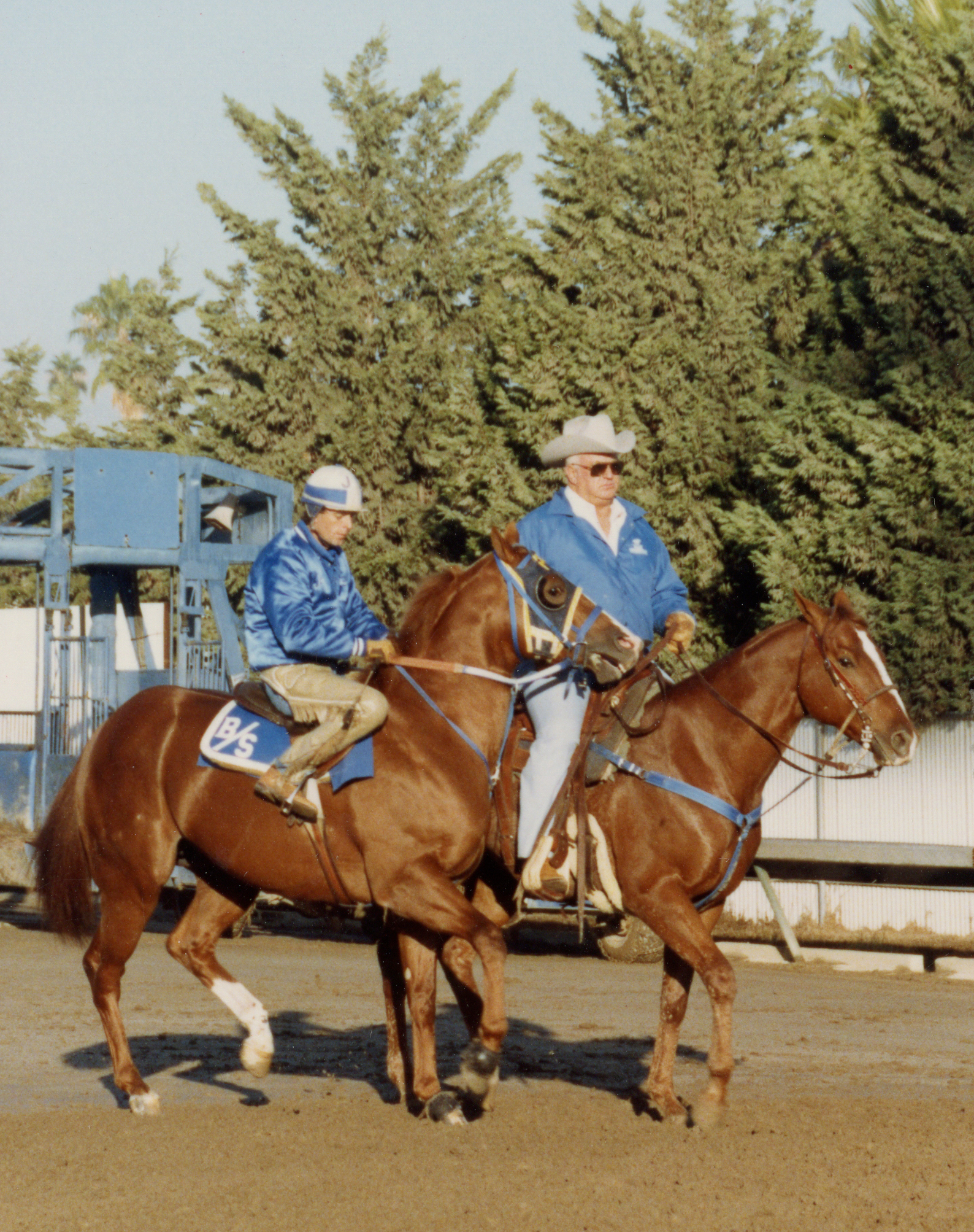 Q-Racing - During the 2021 AQHA Convention, AQHA President Norman K ...