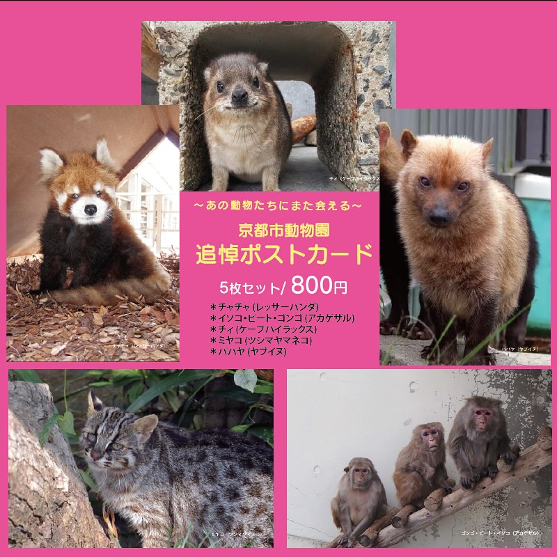 いつもご来店ありがとうございます? このたび ＃ミライハウス では 