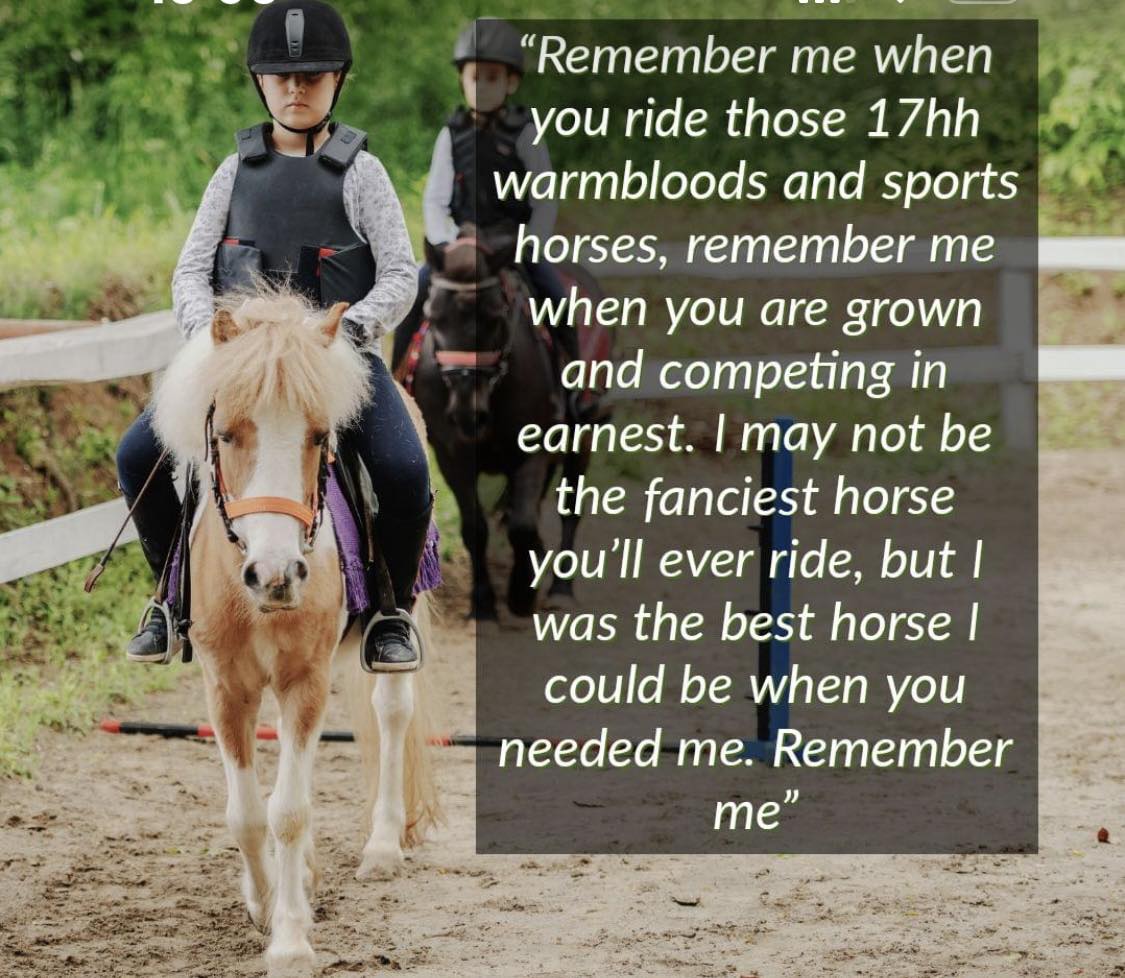 Freshfields Equestrian Centre