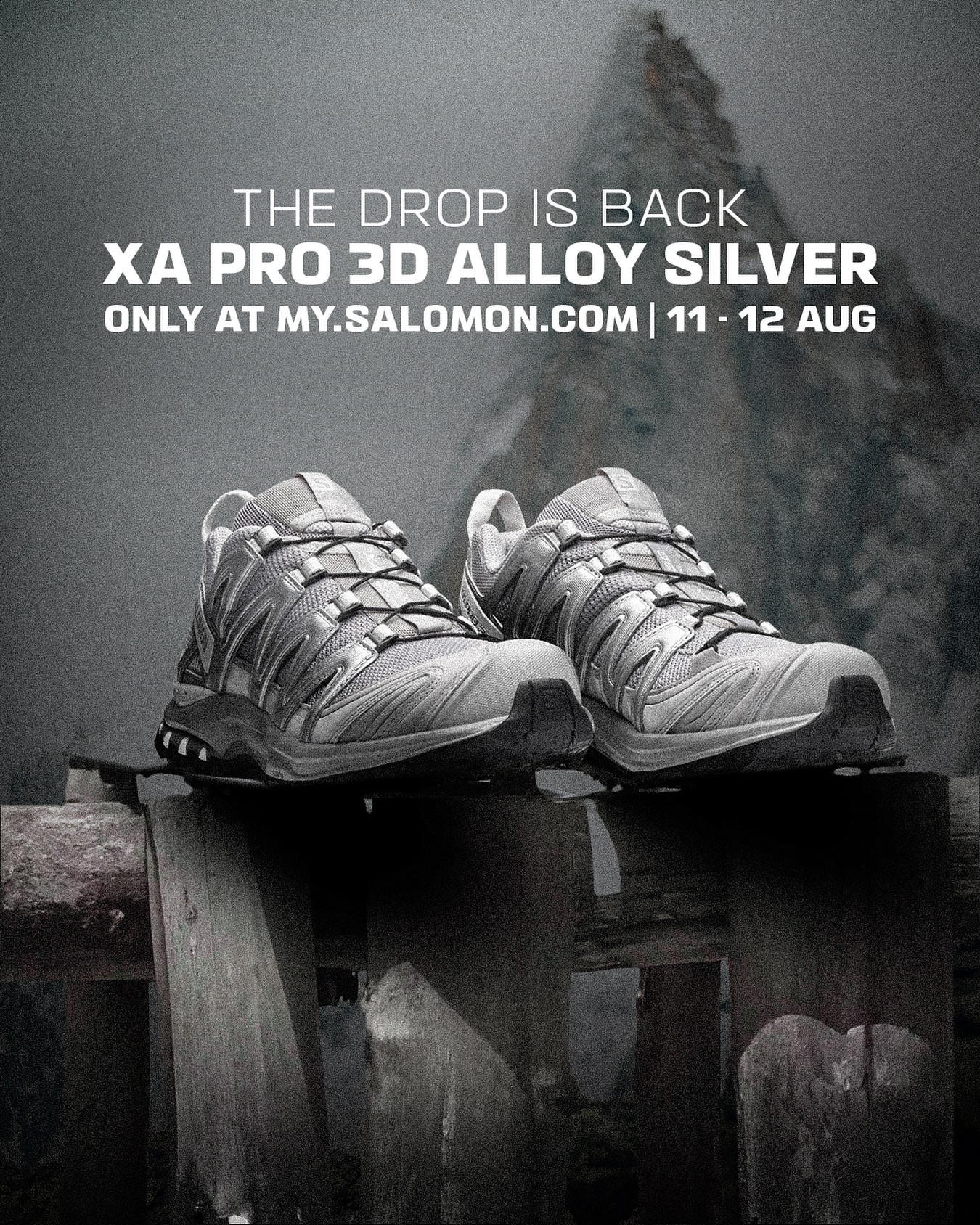 Salomon - XA Pro 3D in Alloy Silver is making a return! Available 