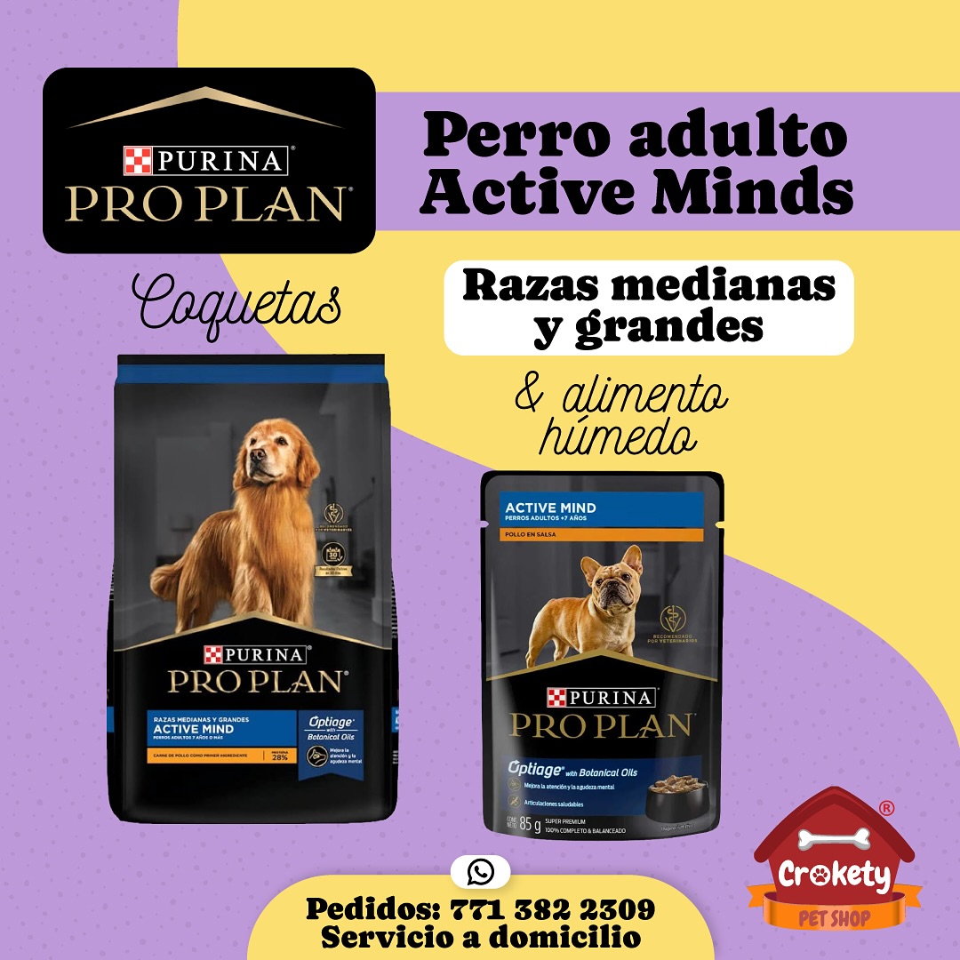Crokety - Purina 🔵 Pro Plan 🔵Perro Adulto 🔹Active Mind Razas Medianas y ...