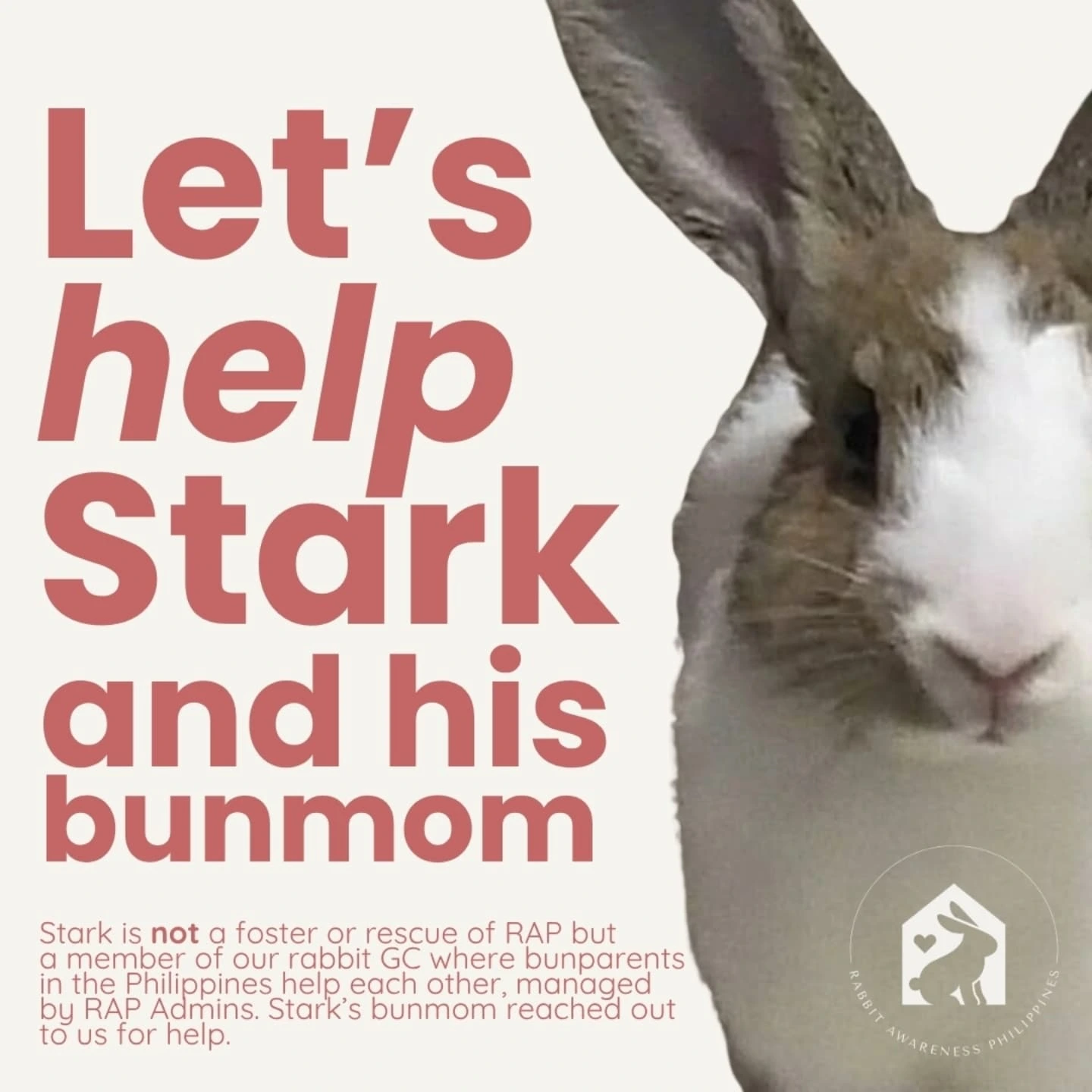 Rabbit Awareness Philippines