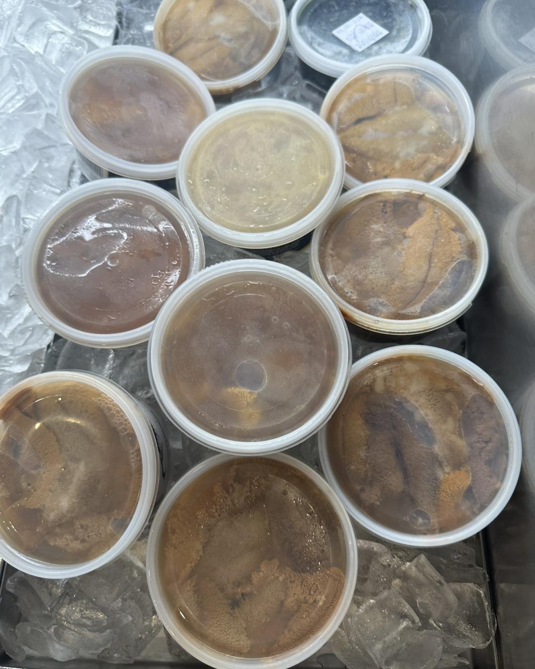 Fish Depot Pimpama | Pimpama QLD
