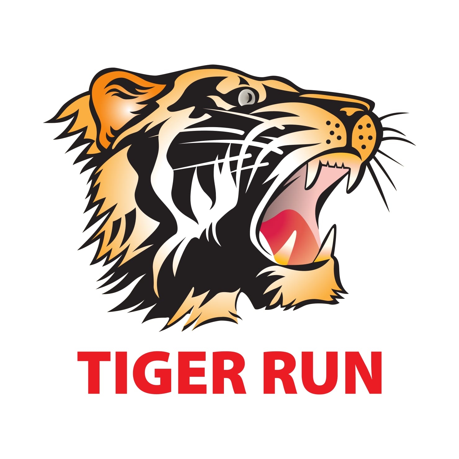 TIGER RUN