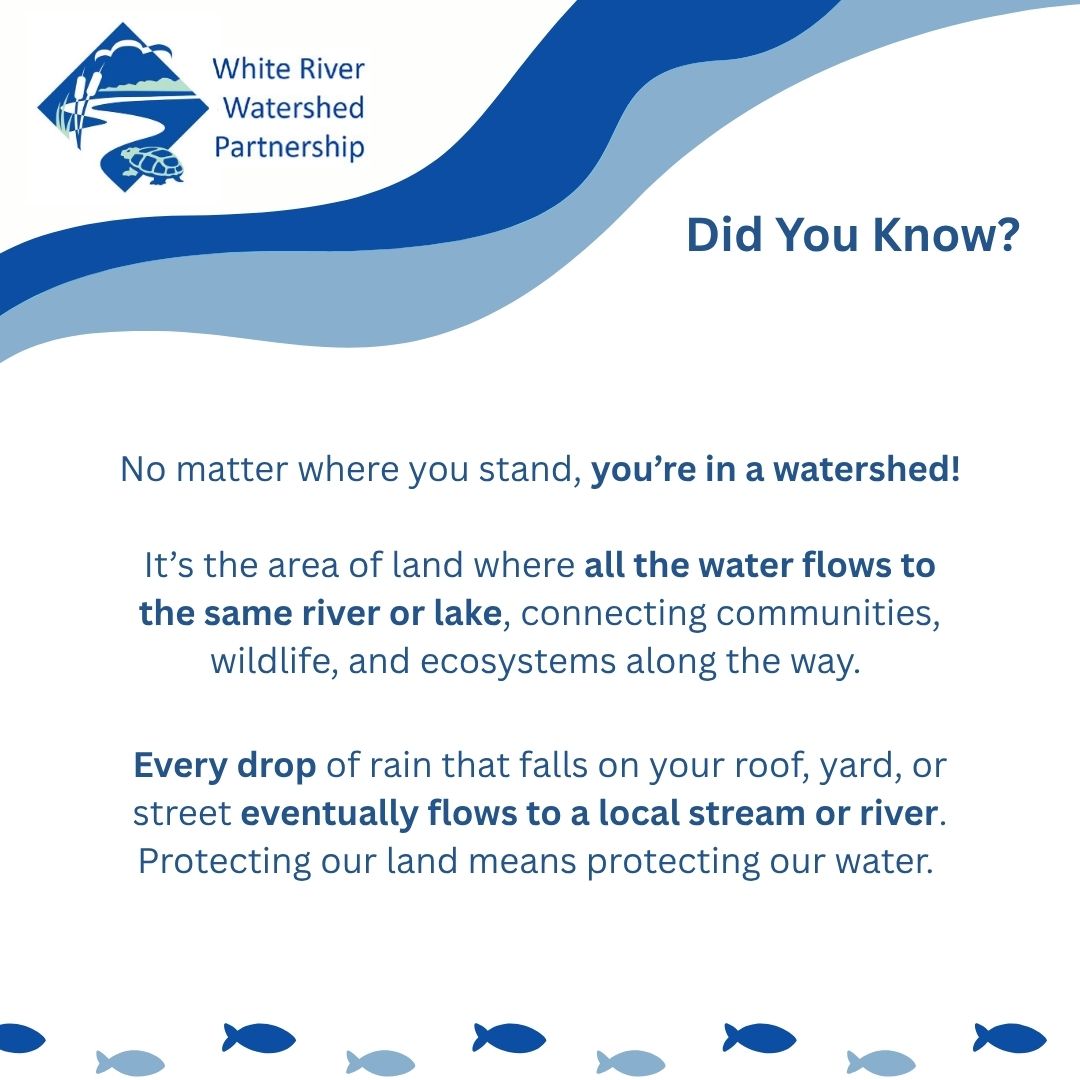 White River Watershed Partnership | Hesperia MI