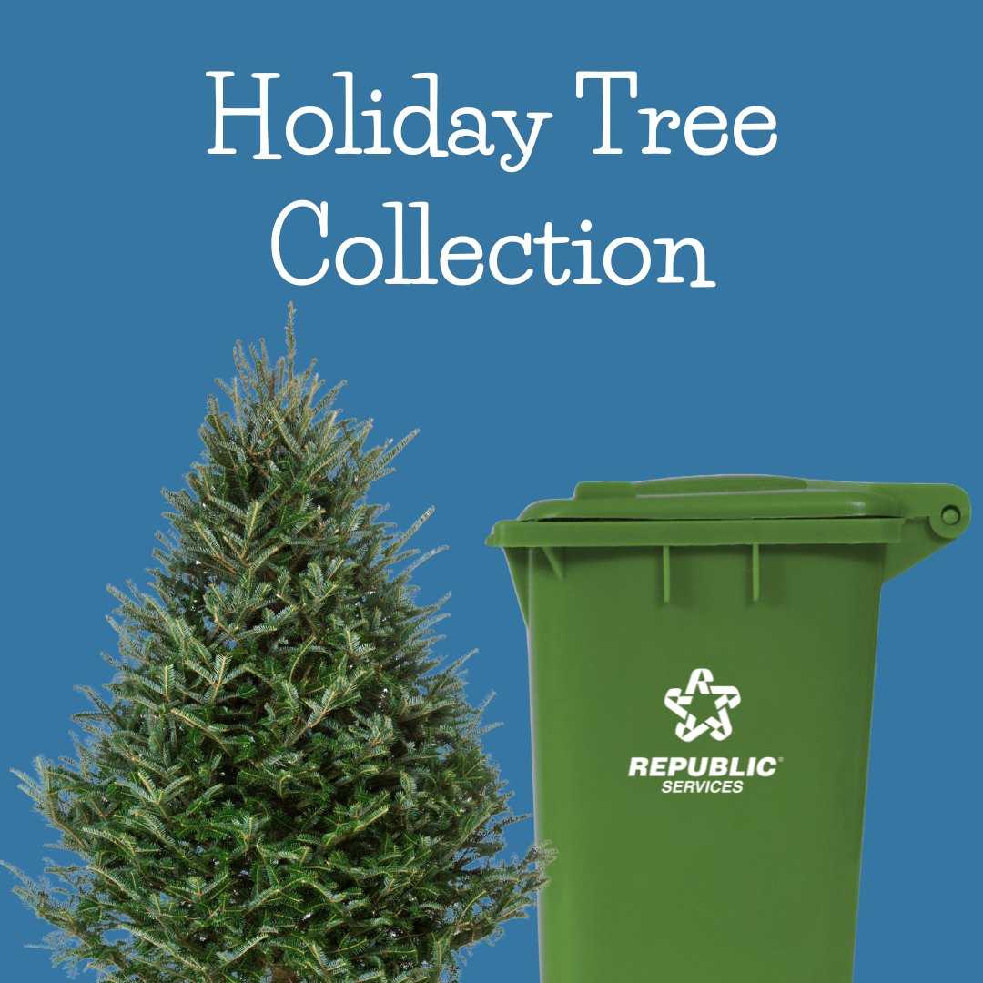 City - When it's time to say goodbye to your holiday tree, Republic ...