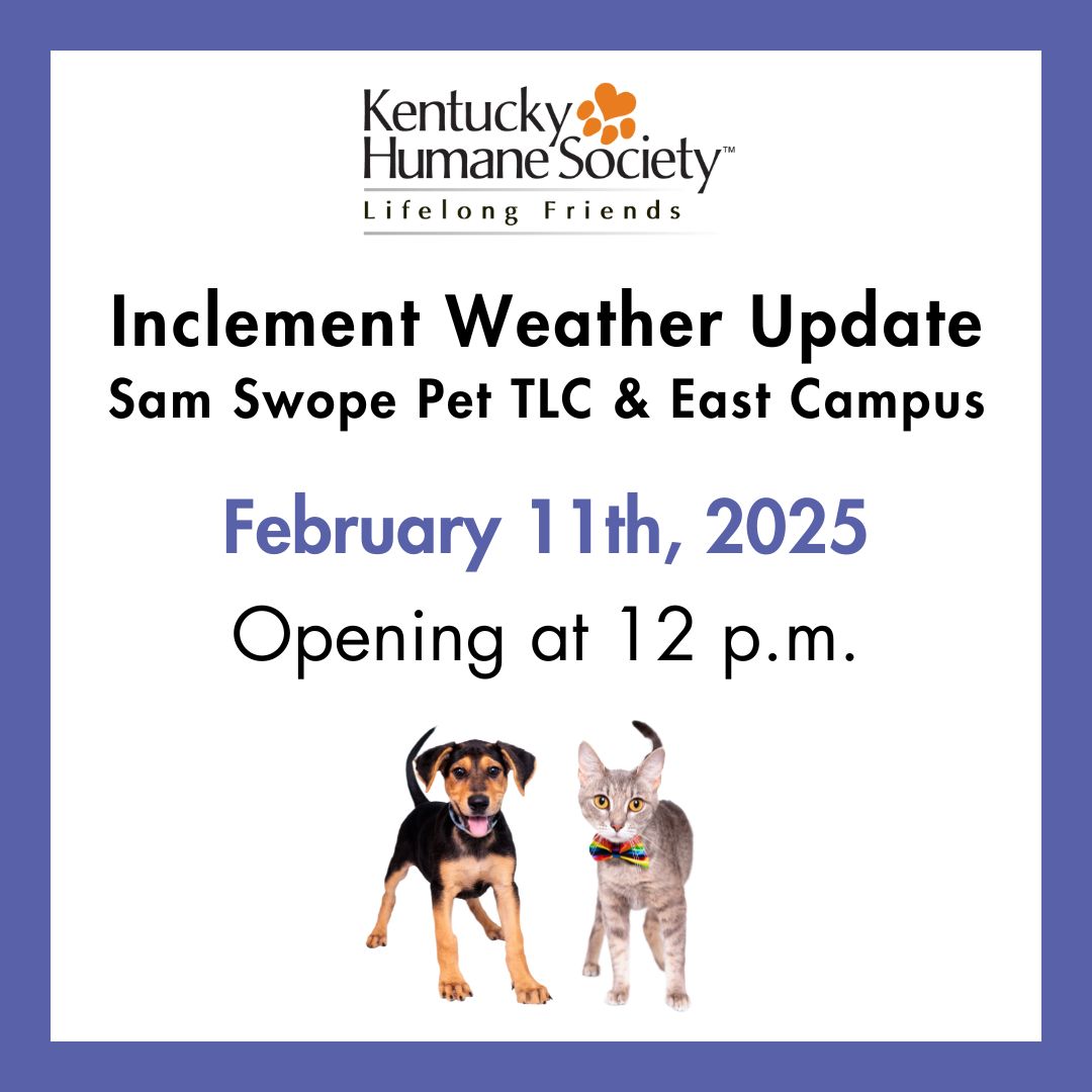 ‼ OPENING LATE TODAY ‼ Due to... - Kentucky Humane Society