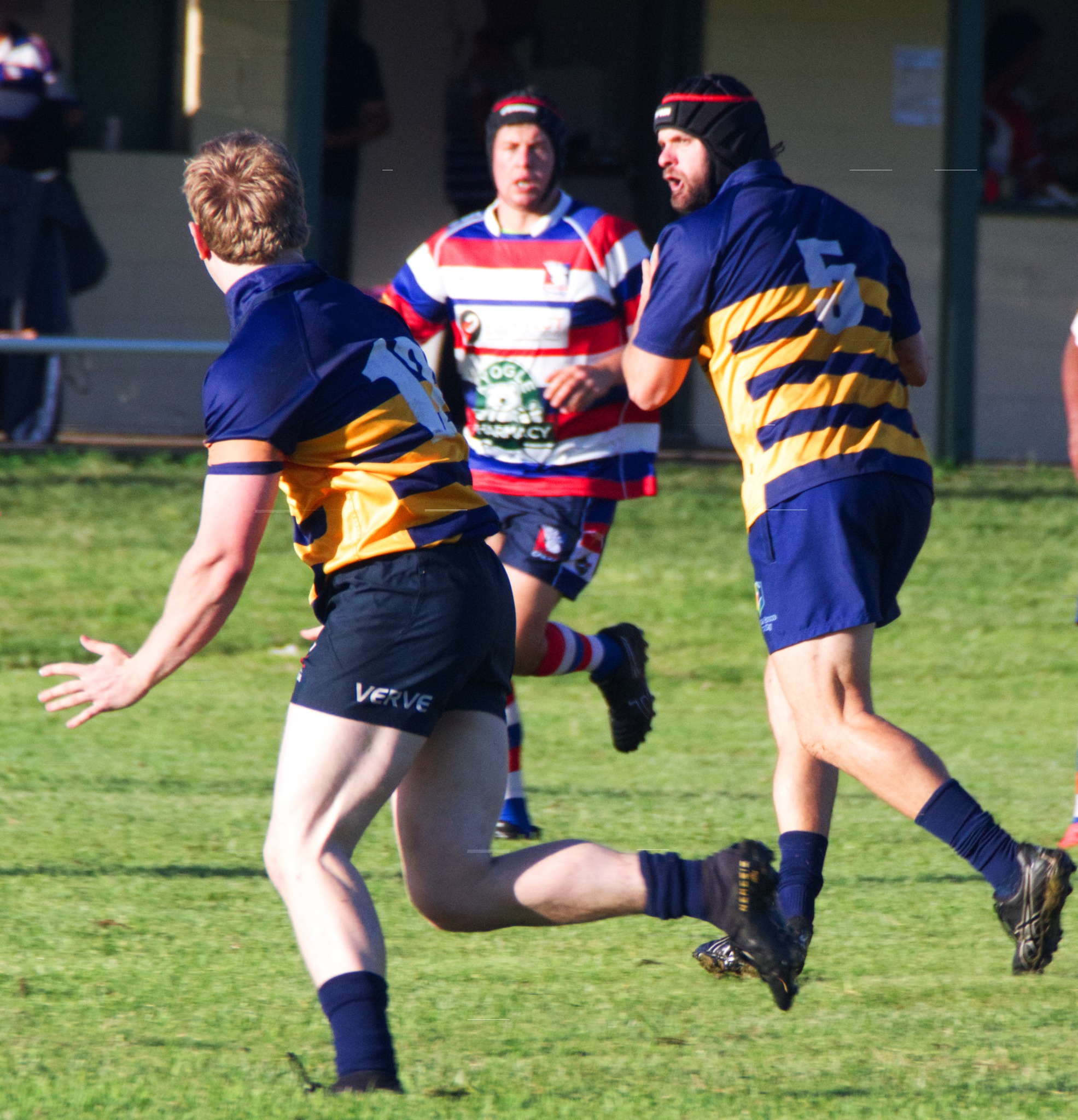 Southern Cross University Gold Rats