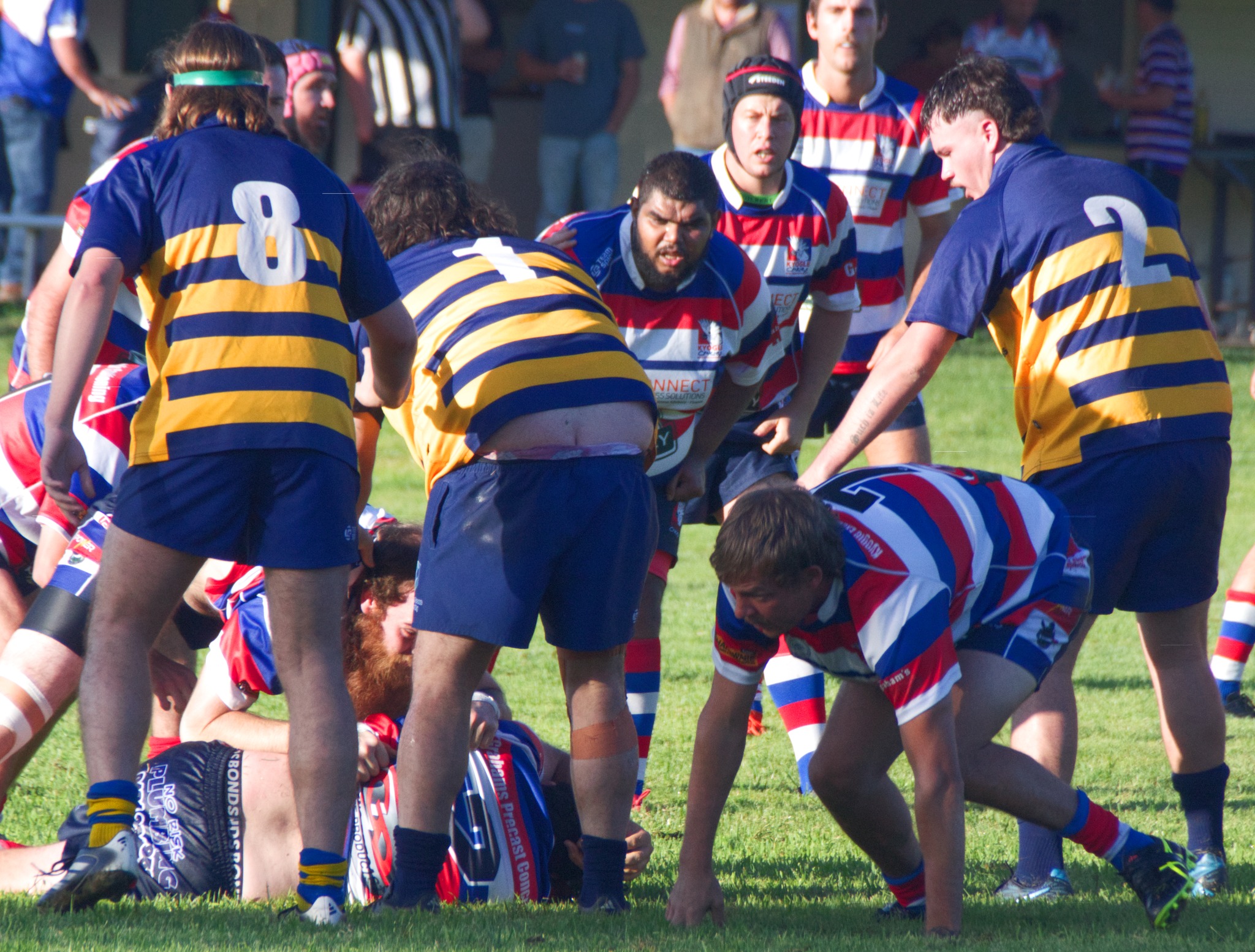 Southern Cross University Gold Rats