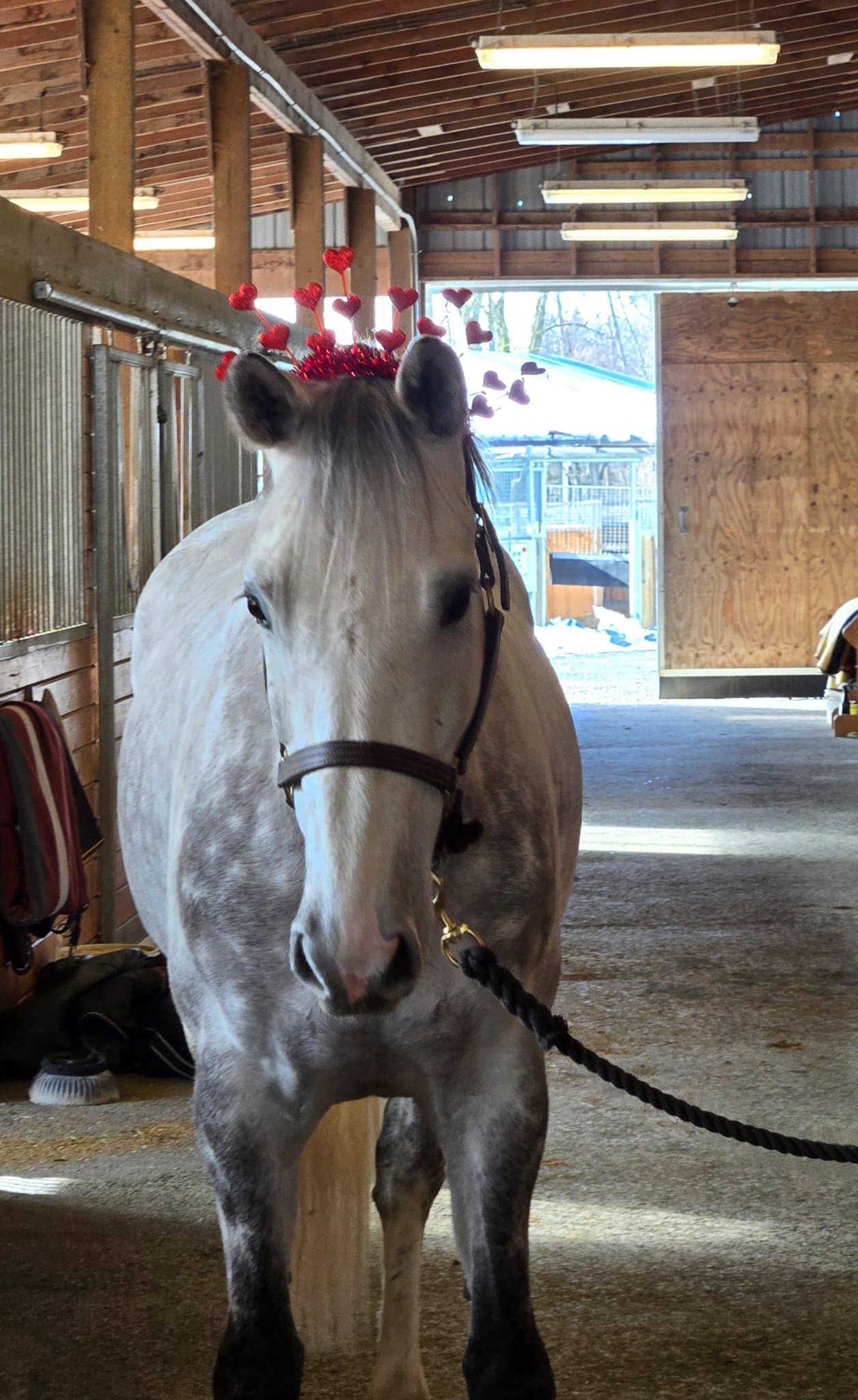 Footnote Farm | Langley BC