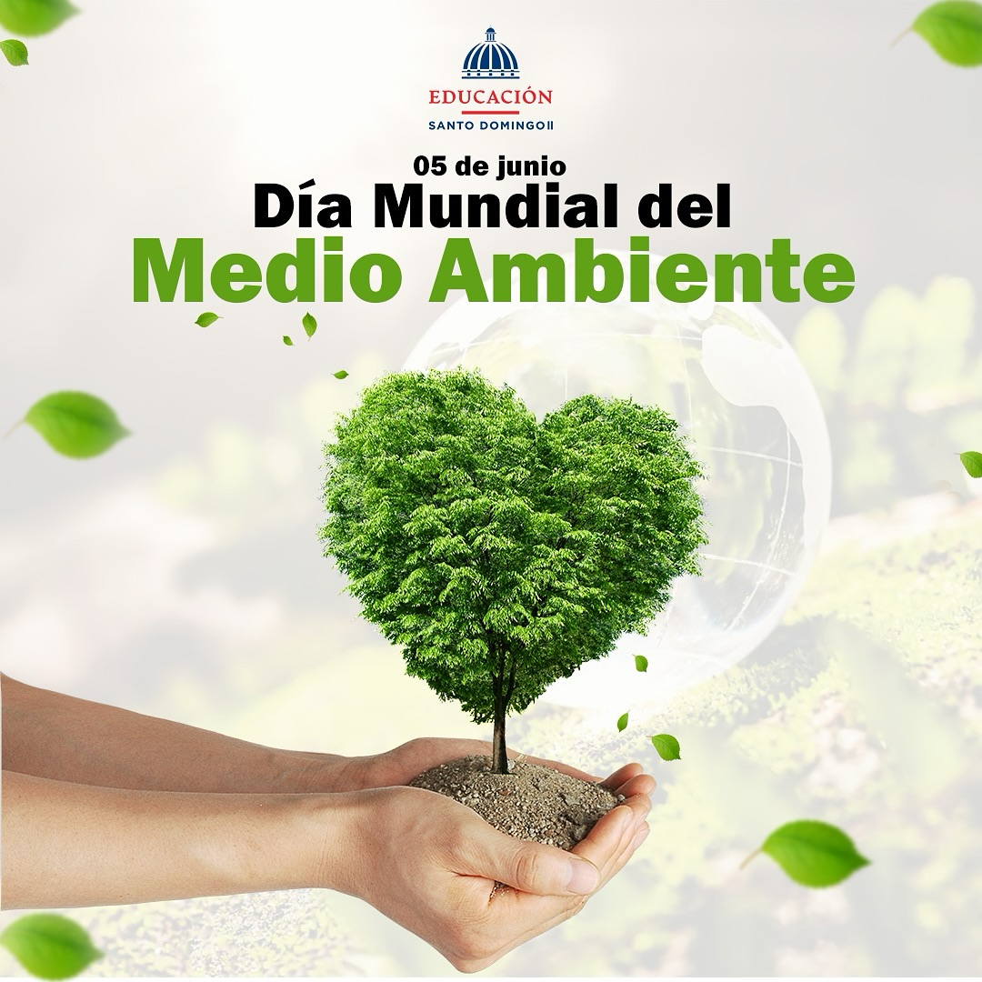 Regional - 🌱 Día Mundial del Medio Ambiente 🌍 Hoy, 5 de junio ...