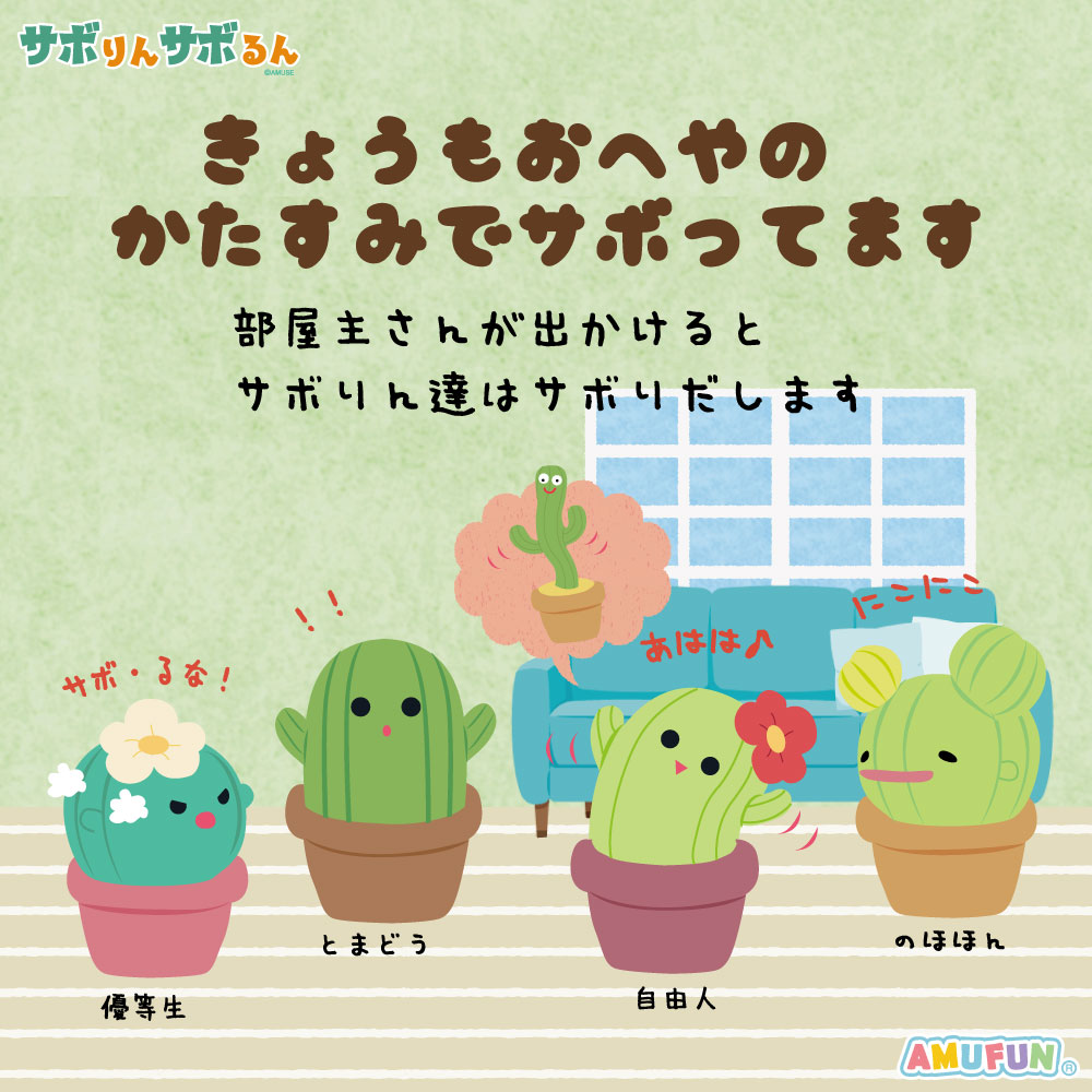 サボりがちなサボテンたちです🌵 ……今日くらいはサボっちゃおっかな