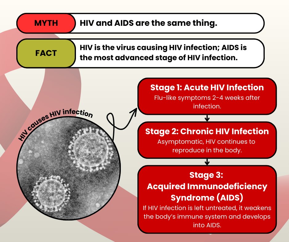 STEM - HIV (human immunodeficiency virus) is the virus that causes HIV ...