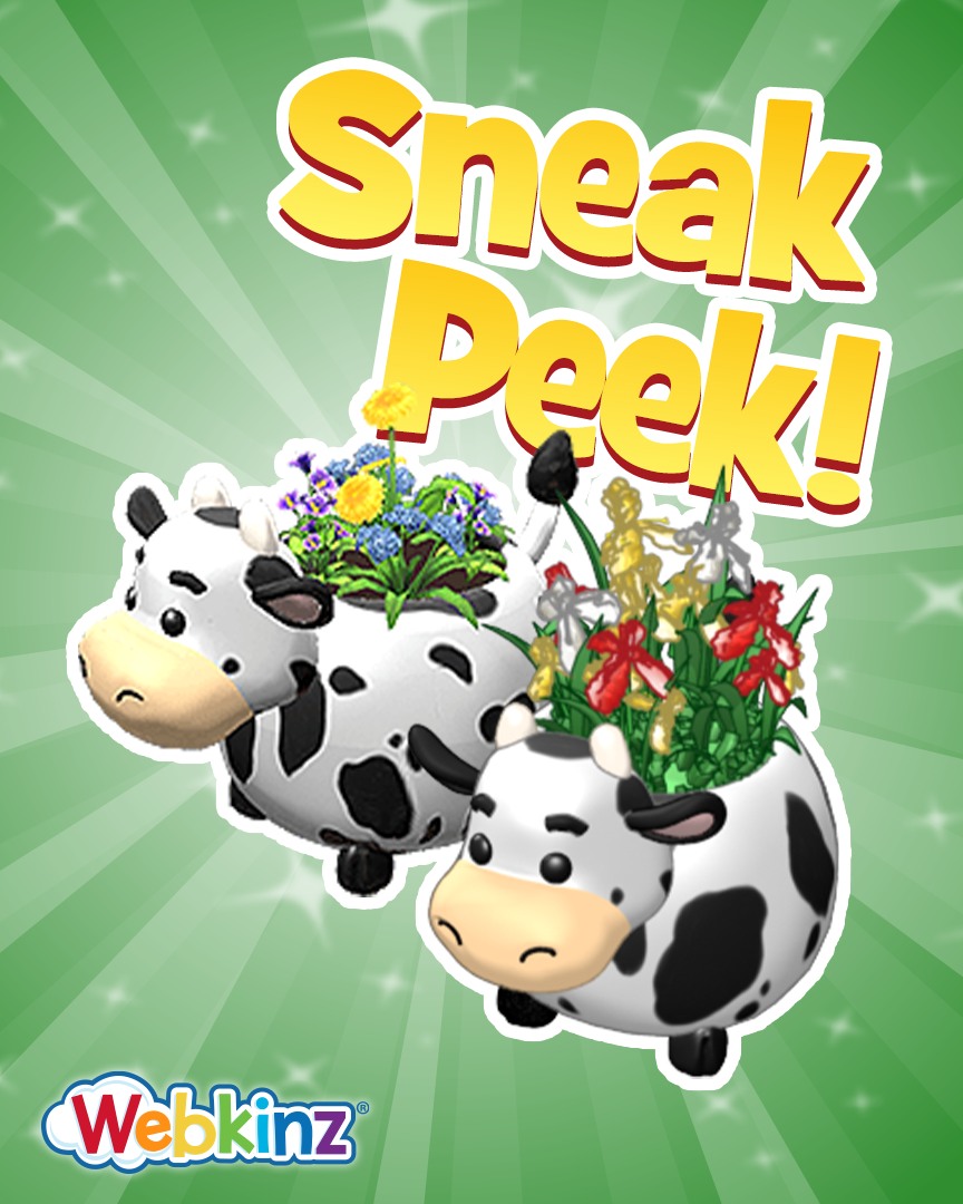 🚨Webkinz Classic - RARE ITEM ALERT for April 29, 2026 🚨 ALL