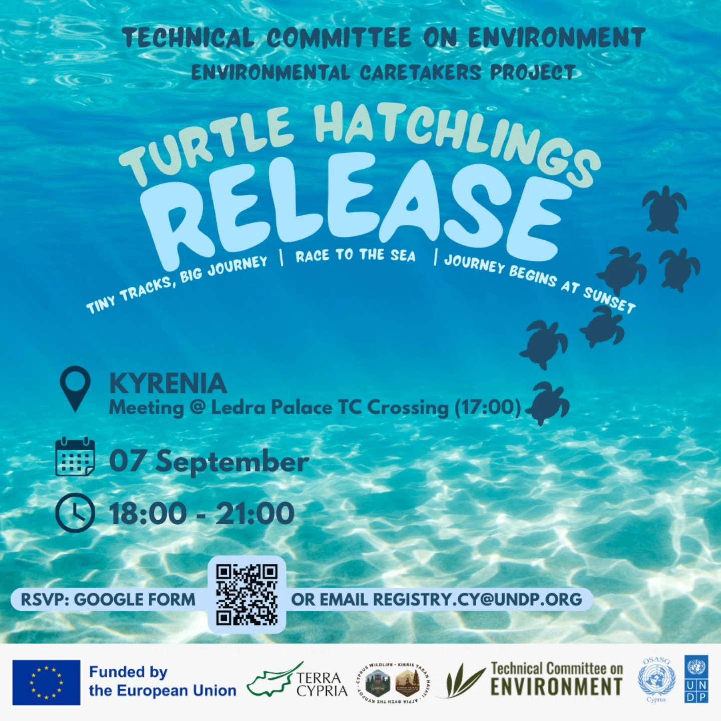UNDP - Let's head to the beach to explore how sea turtles live, why ...