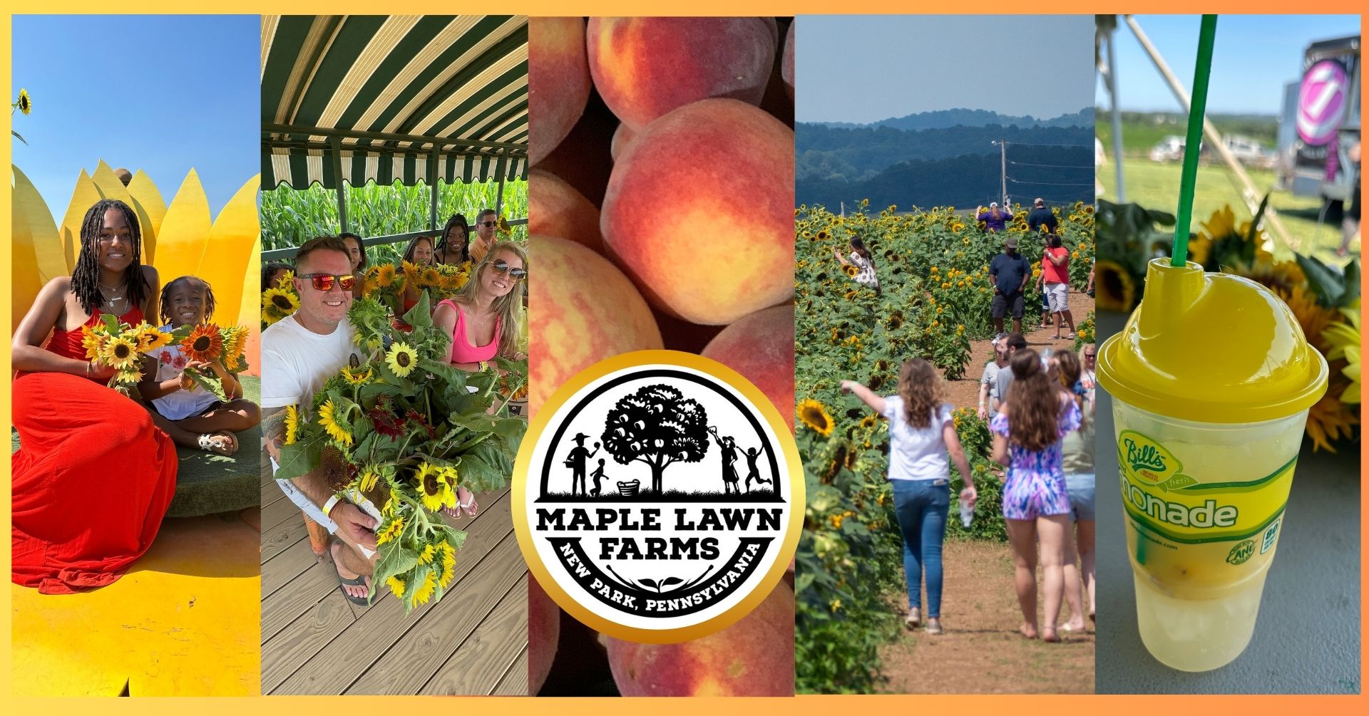 Maple Lawn Farms - Farm Market, Winery & Pick Your Own - Inside the bin ...