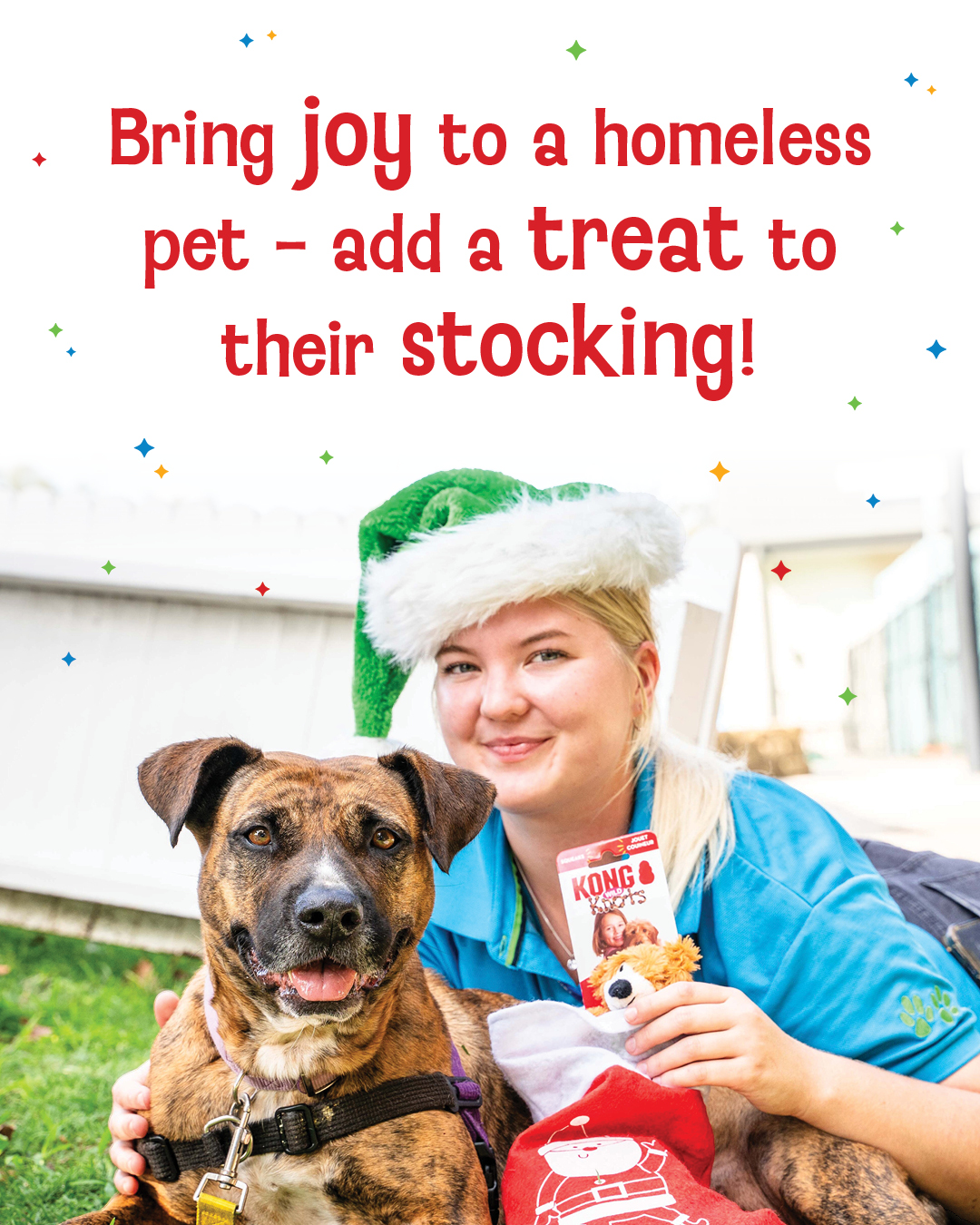RSPCA - Pickles (AID 1522299) | Facebook