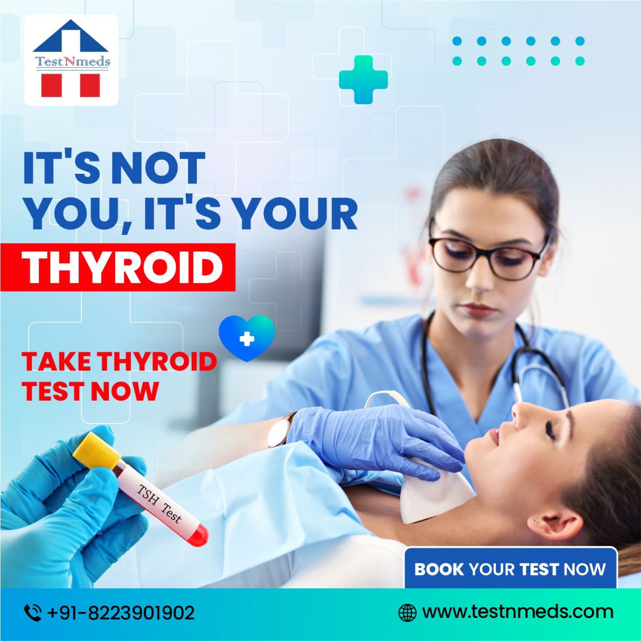 TestNmeds - The thyroid gland is a small organ that’s...