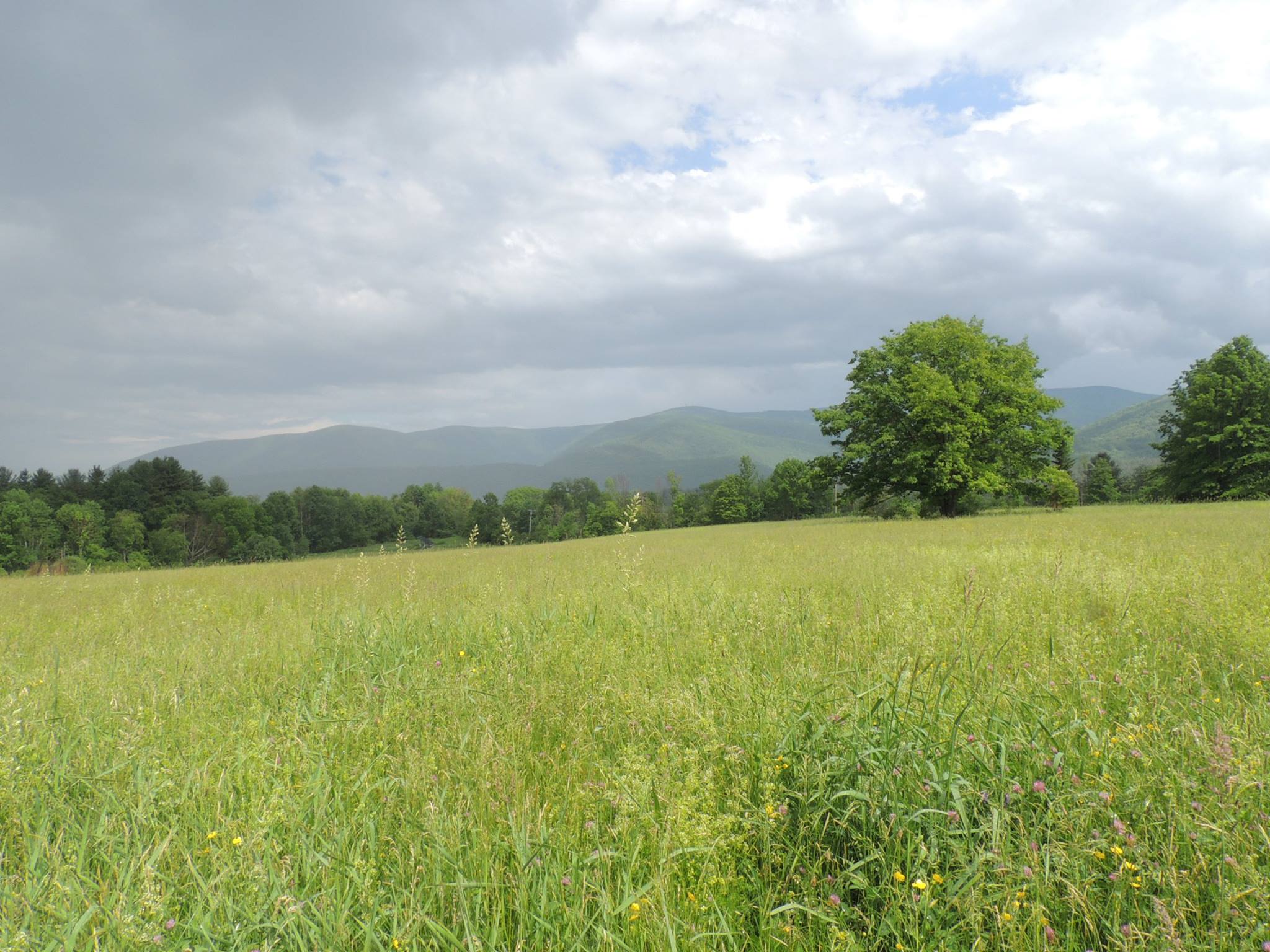 A tour of some of WRLF lands - Williamstown Rural Lands | Facebook