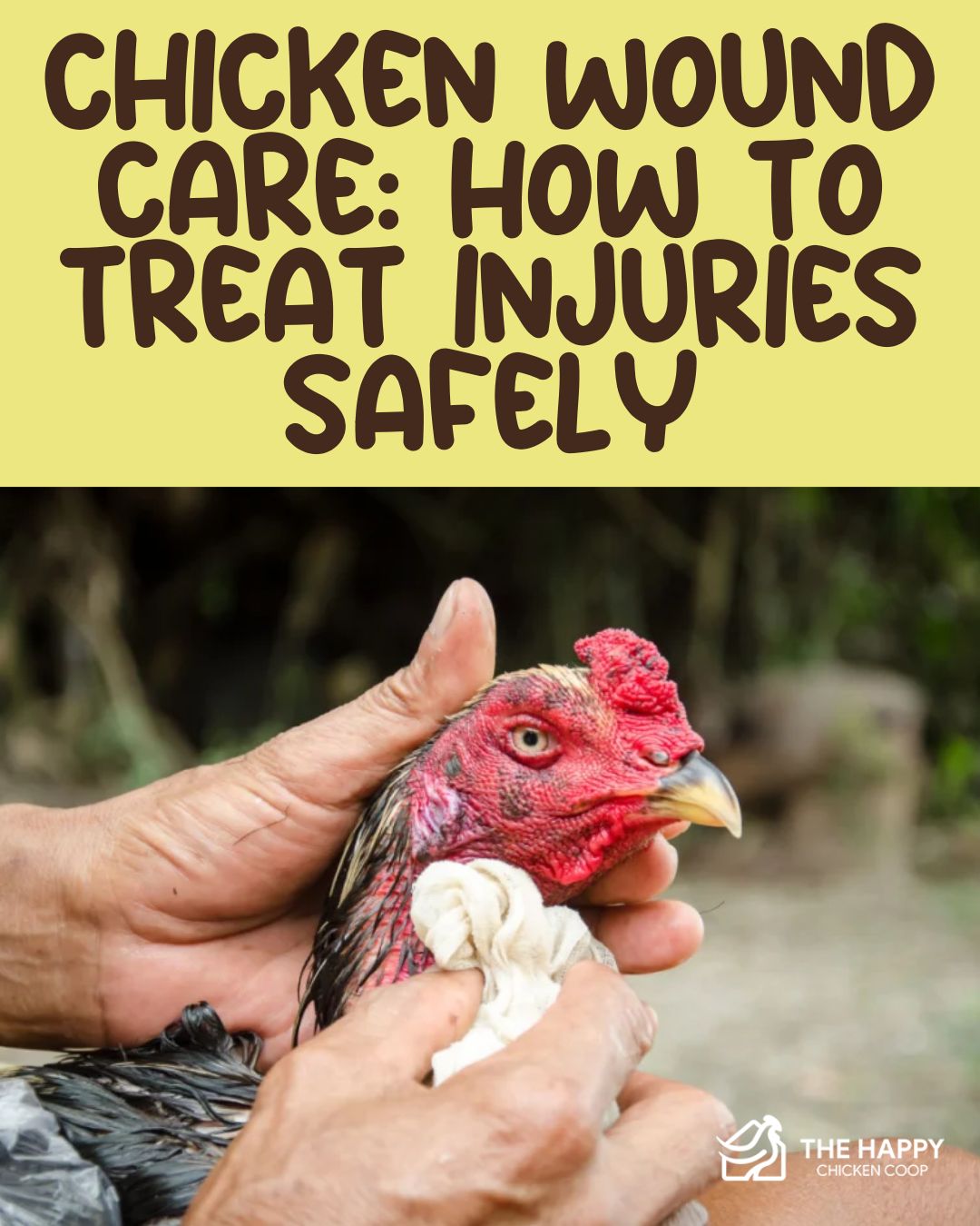 A practical guide to chicken... - The Happy Chicken Coop | Facebook