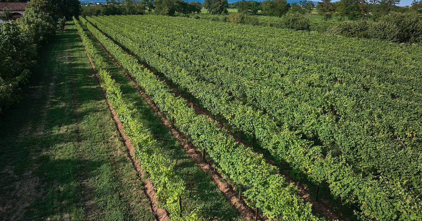 Agriturismo Zapparè | Trevignano