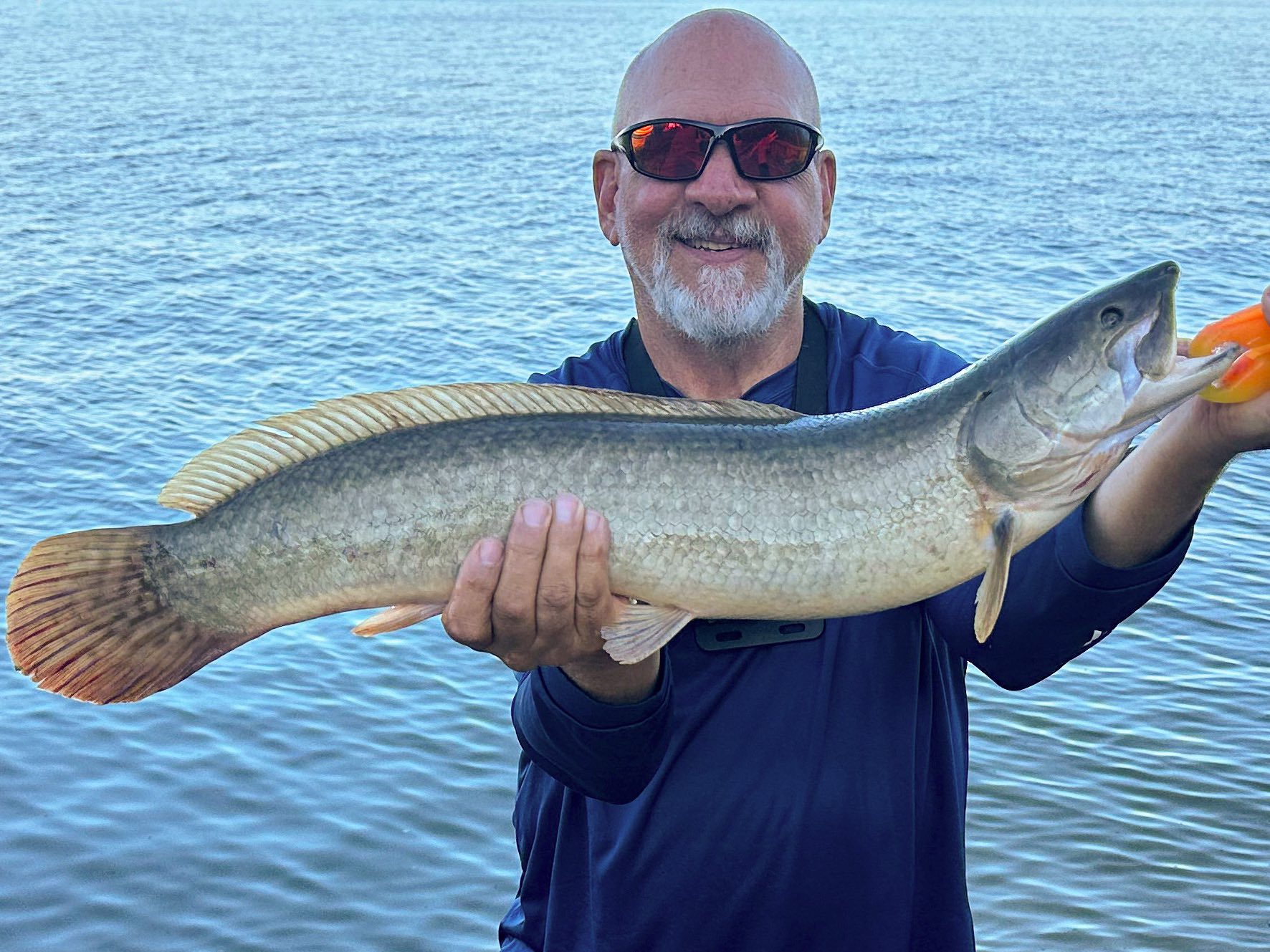 Ray Hubbard Fishing | Here’s the TikTok version of my Ray Hubbard Fly ...
