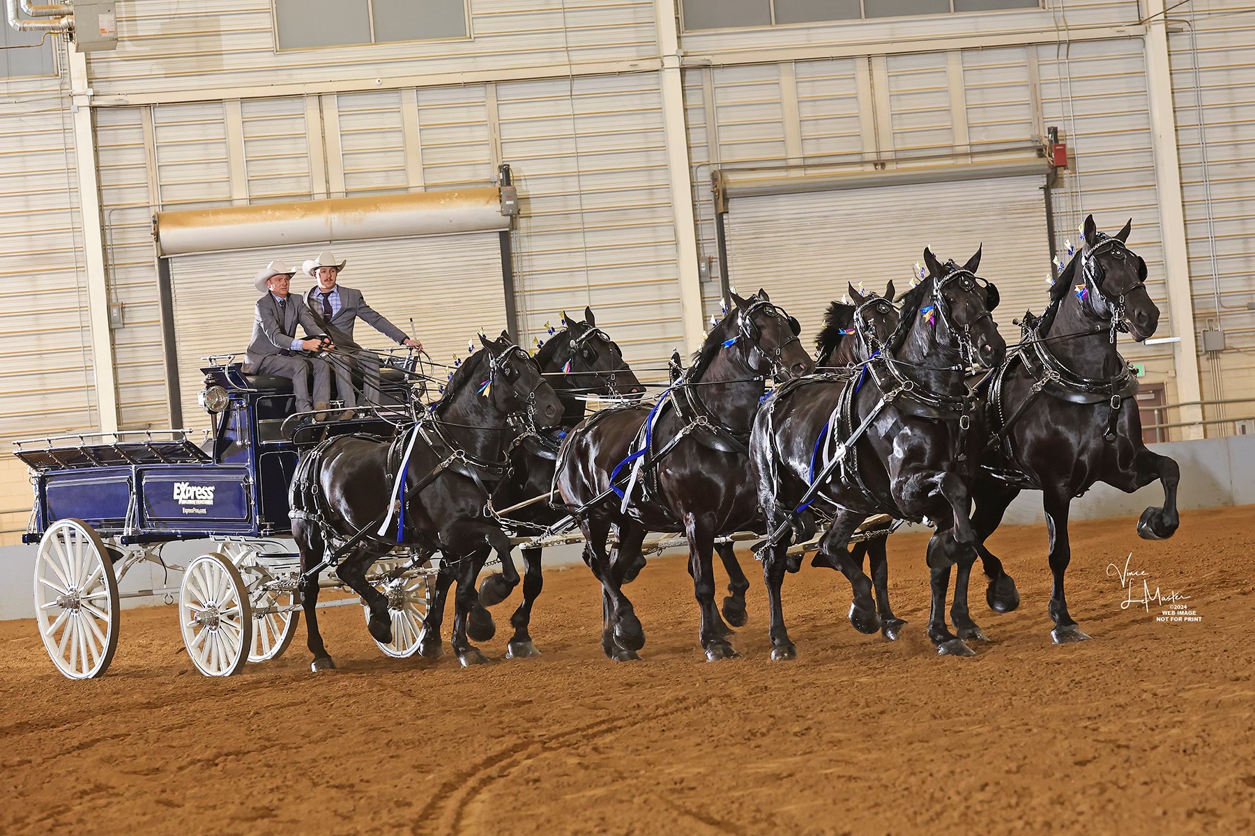 Express Ranches - Percherons | Yukon OK