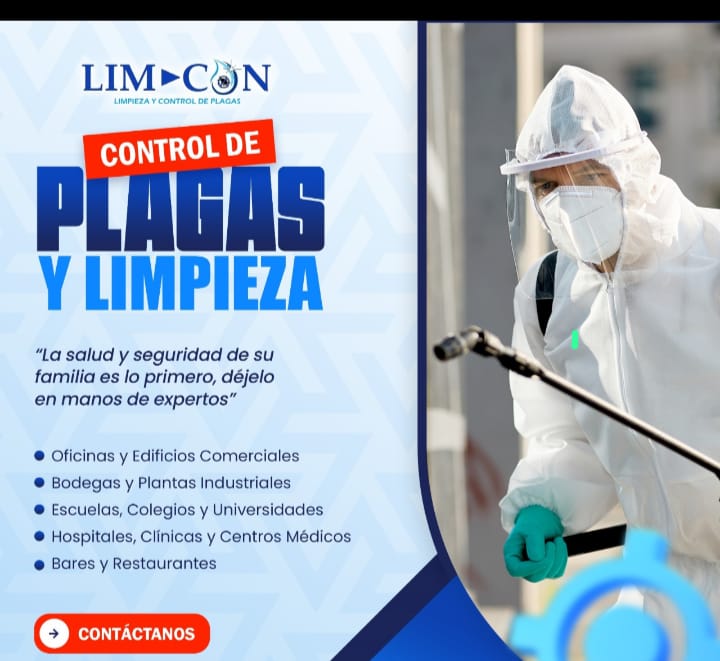 LimCon | Chihuahua