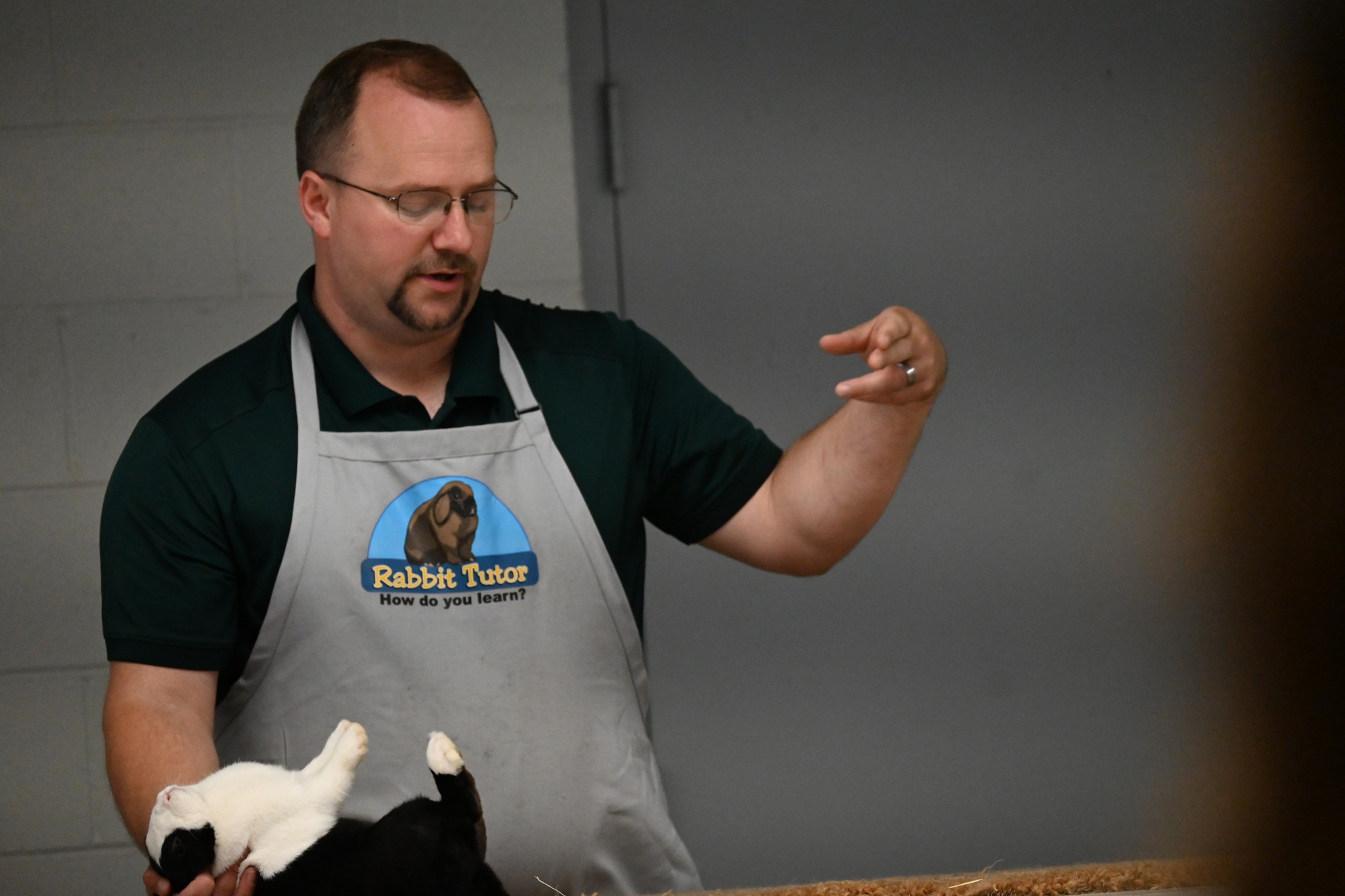 Greene County... - Greene County Ohio 4-H Rabbit Committee