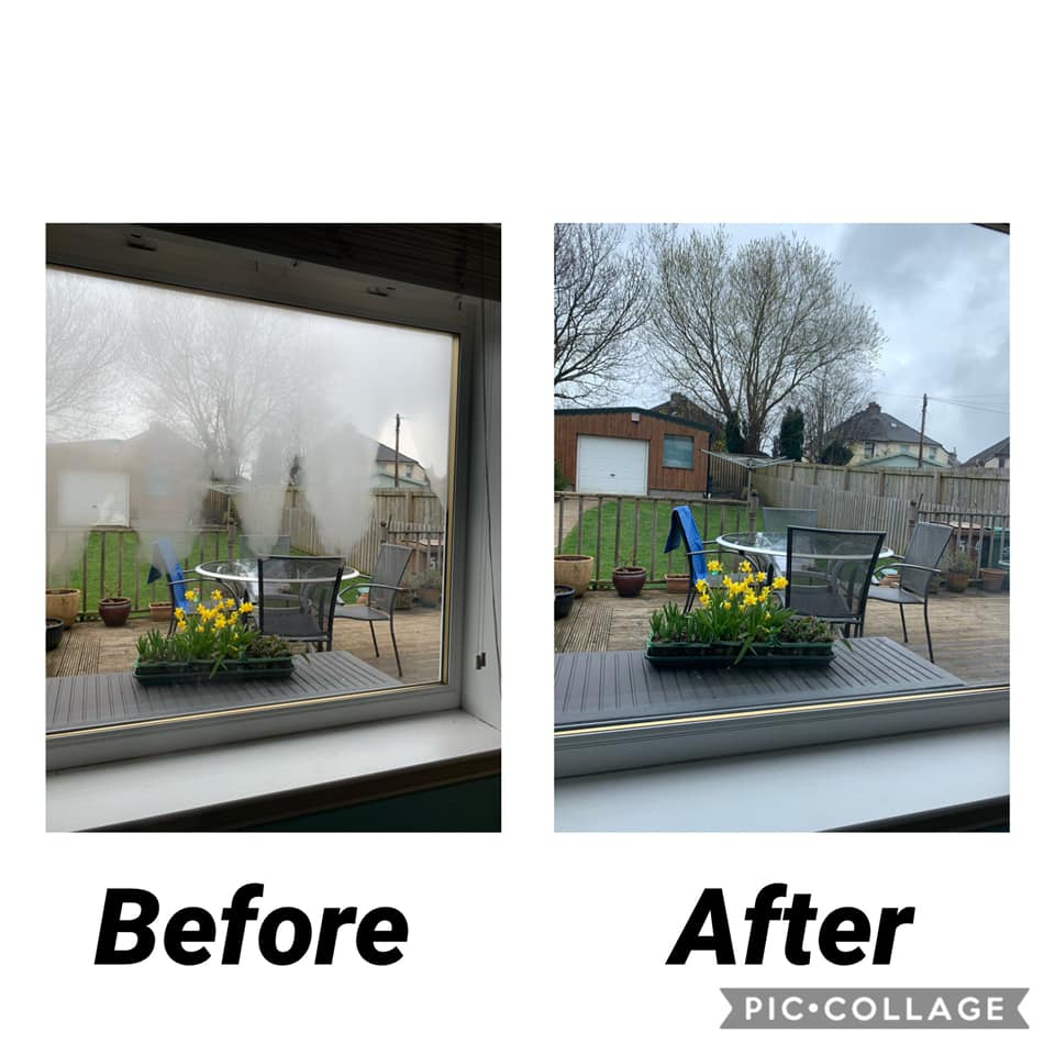 The Window Mender | Paisley