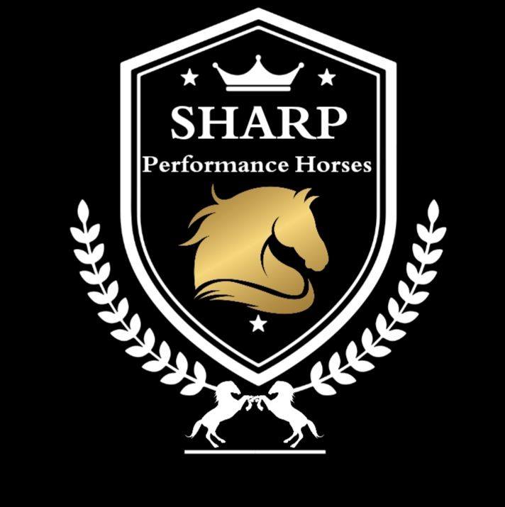 Sharp Performance Horses | Denman NSW