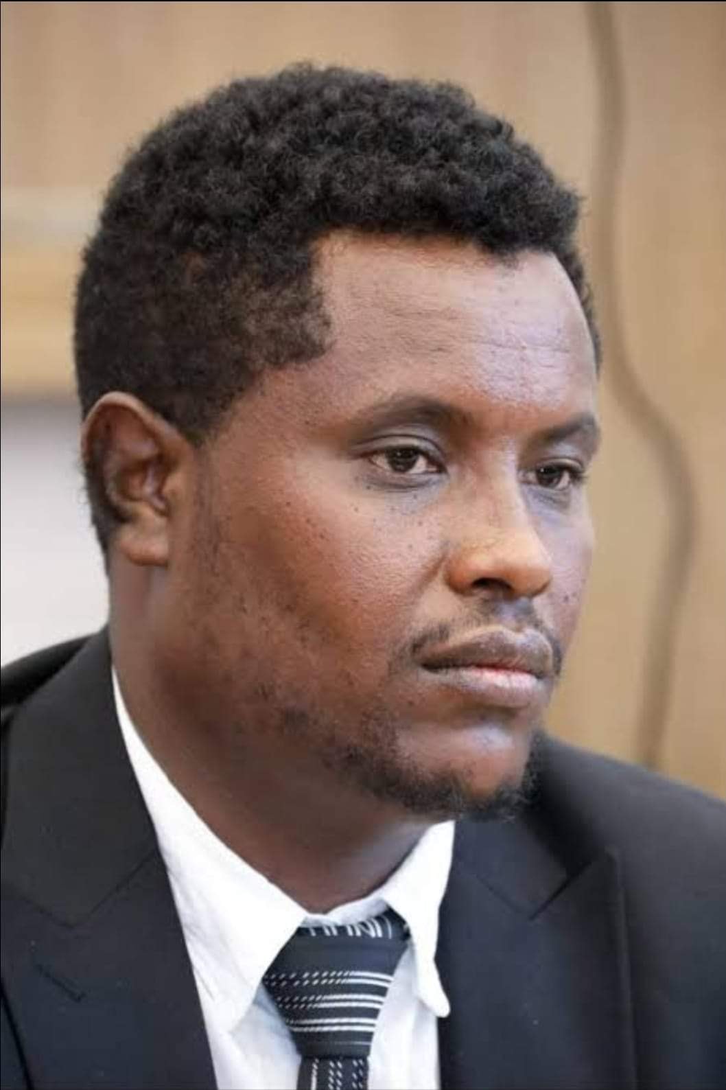 Link - አንድ ጥያቄ አለኝ? የወያኔው አሉላ ሰለሞን ጓደኛና የብአዴን የምርጫ ቀስቃሽ የነበረው Christian ...