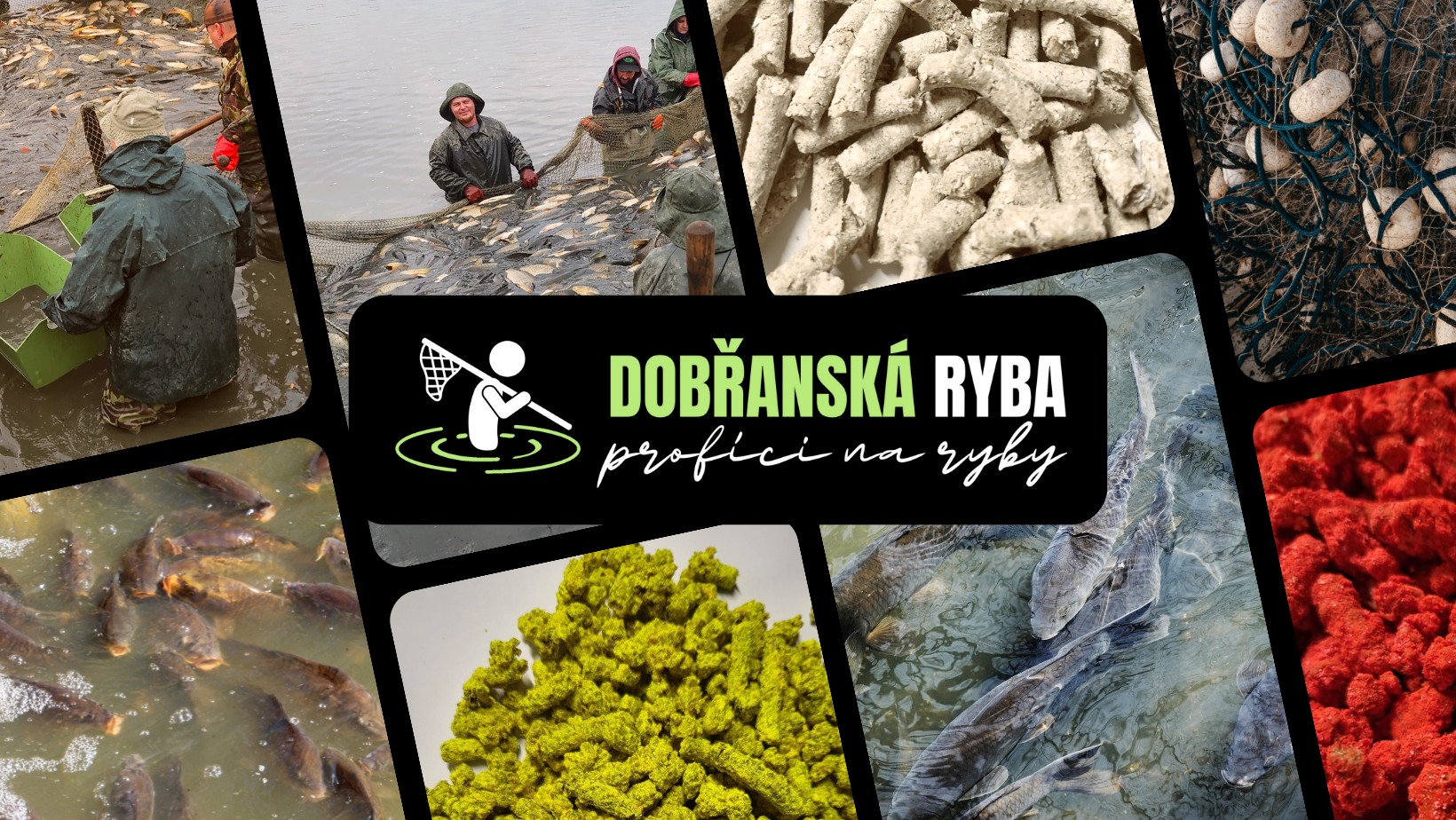 Dobřanská ryba - krmné pelety | Dobrany