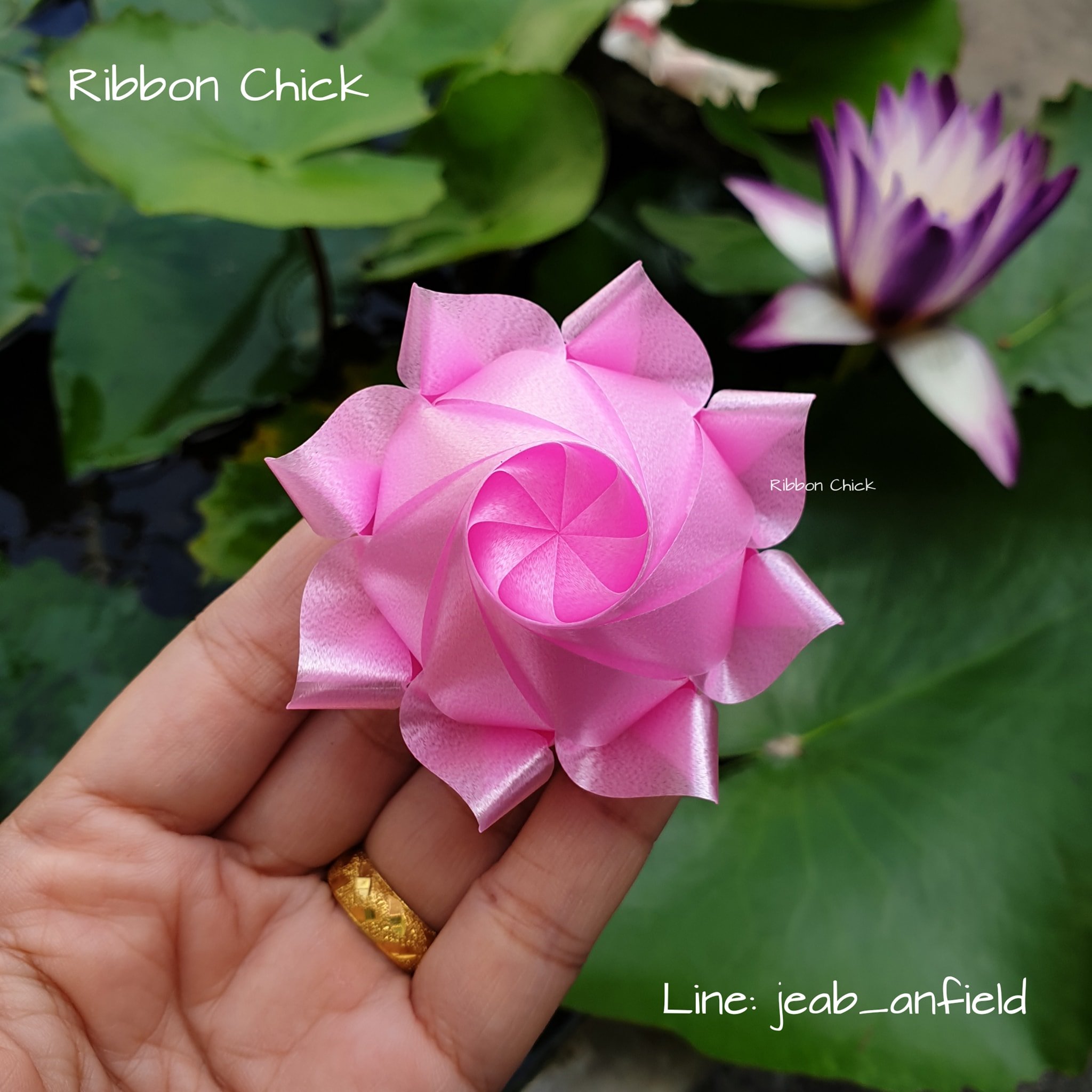 ช่วงนี้ไม่ได้ไปไหน... - Ribbon Chick เหรียญโปรยทาน