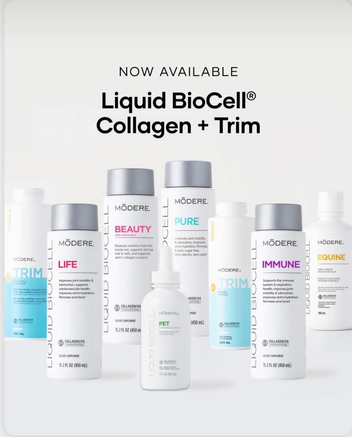 Shaklee Distributor