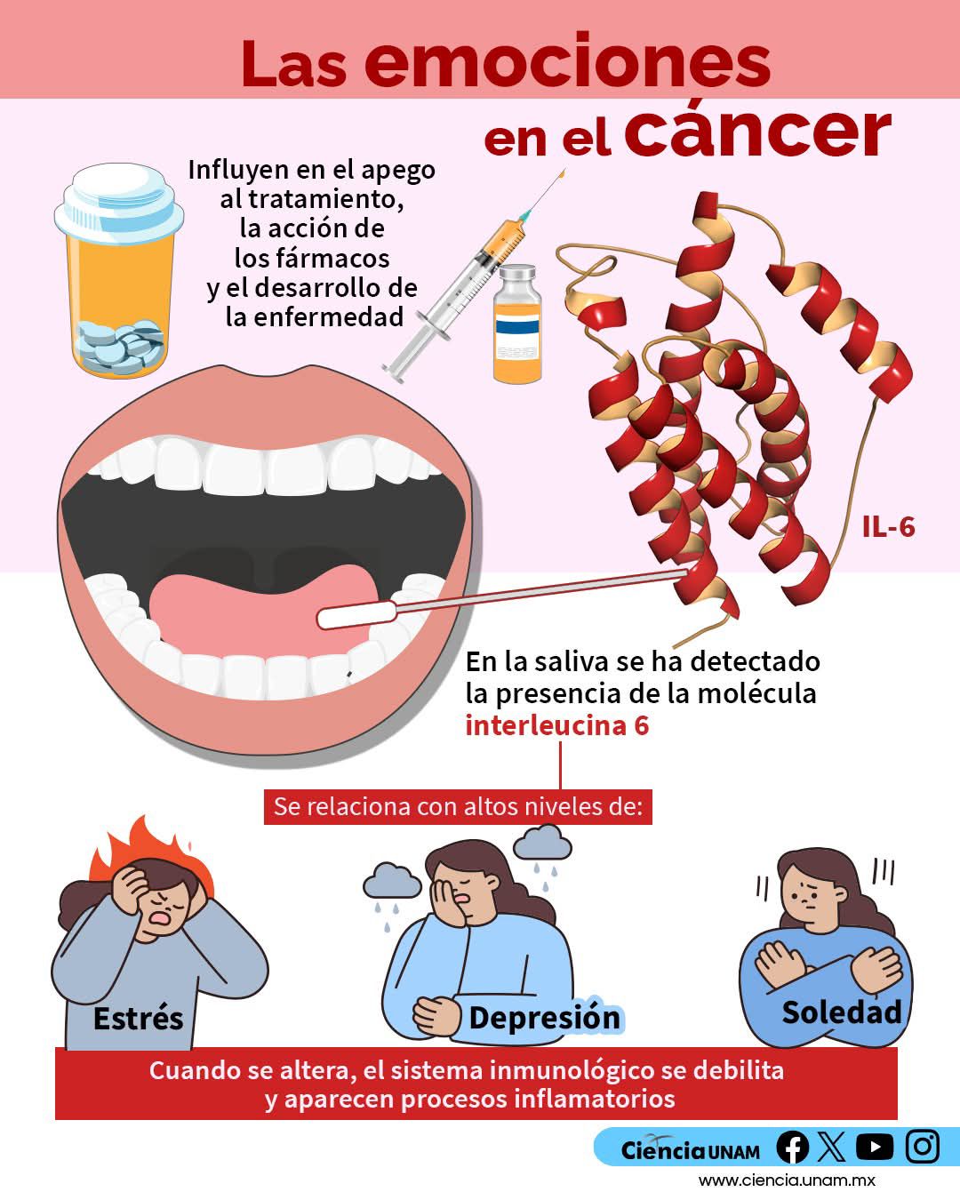 Un - Las emociones en el cáncer El apoyo emocional es fundamental para ...