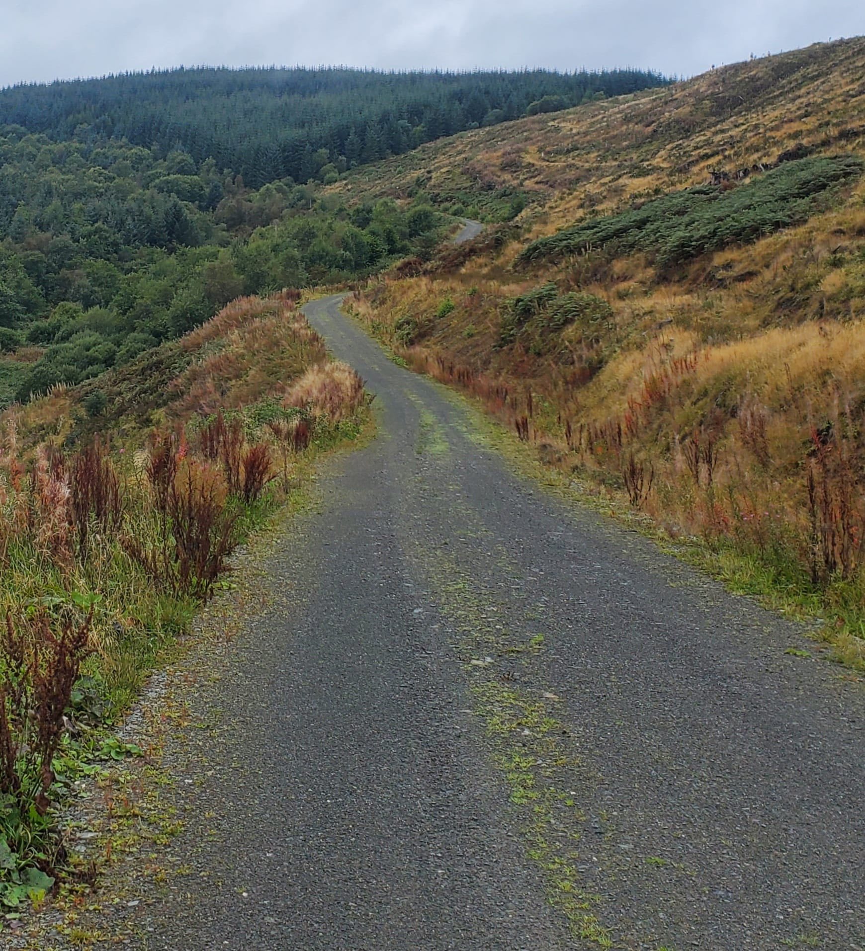 Today saw the first route recce... - Border Counties Rally | Facebook